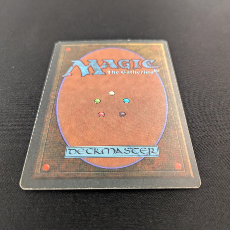 Magic the Gathering Savannah - Revised 