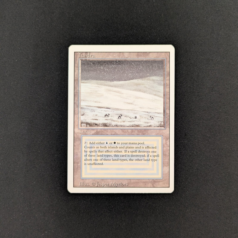 Magic the Gathering Tundra - Revised EX - 25549