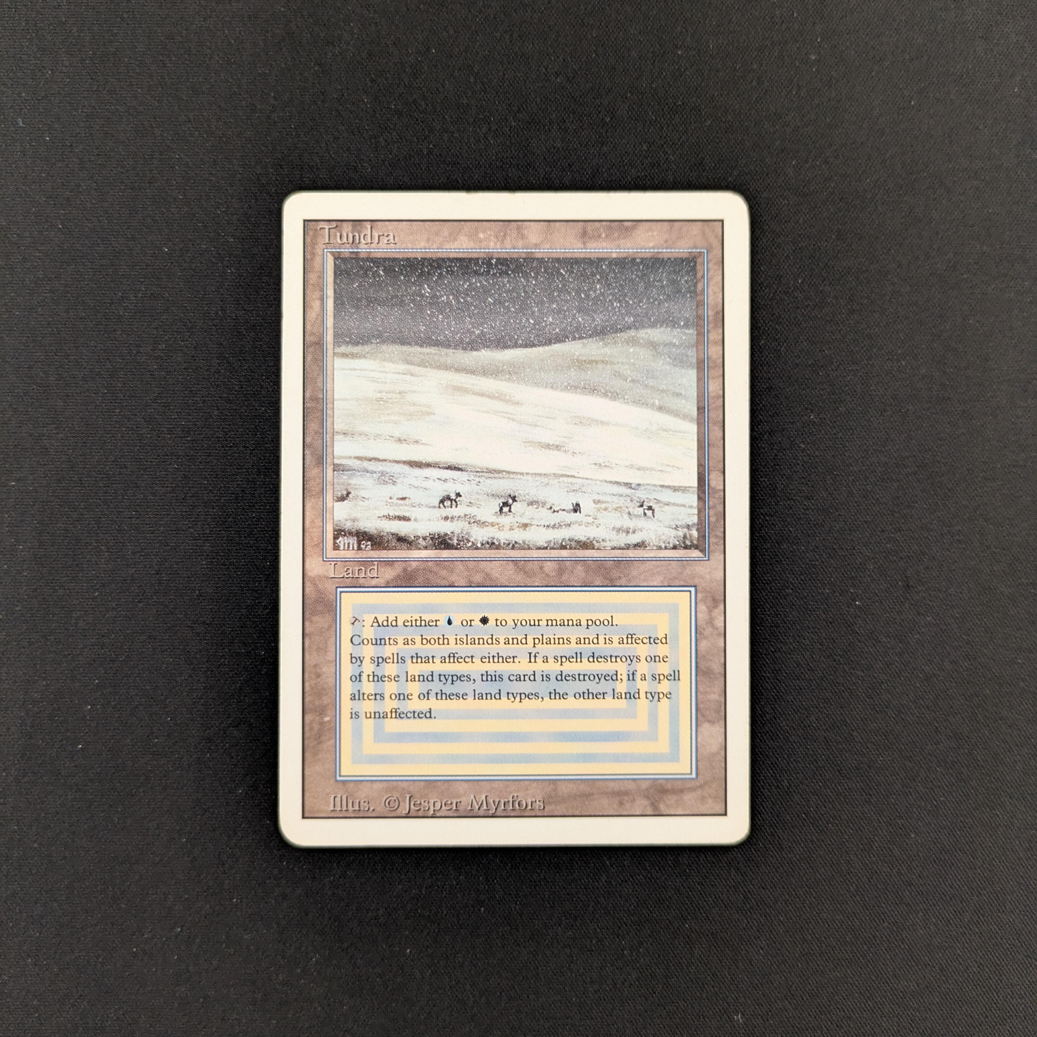 MTG Singles - Tundra - Revised - PL - 25551