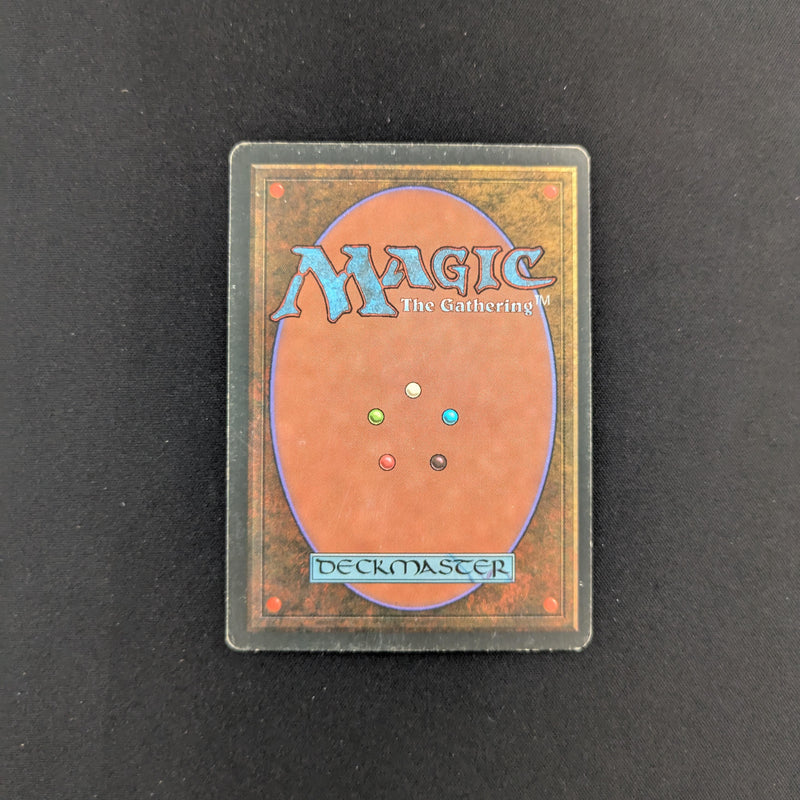 MTG Singles - Tundra - Foreign Black Bordered - 