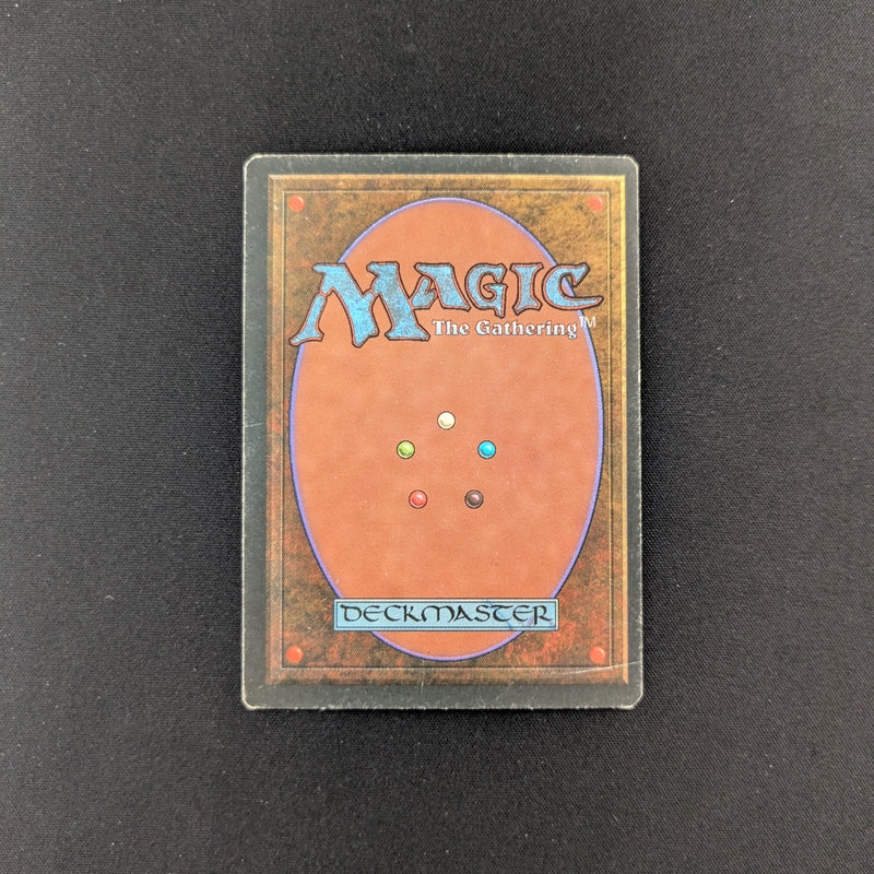 MTG Singles - Tundra - Foreign Black Bordered - 