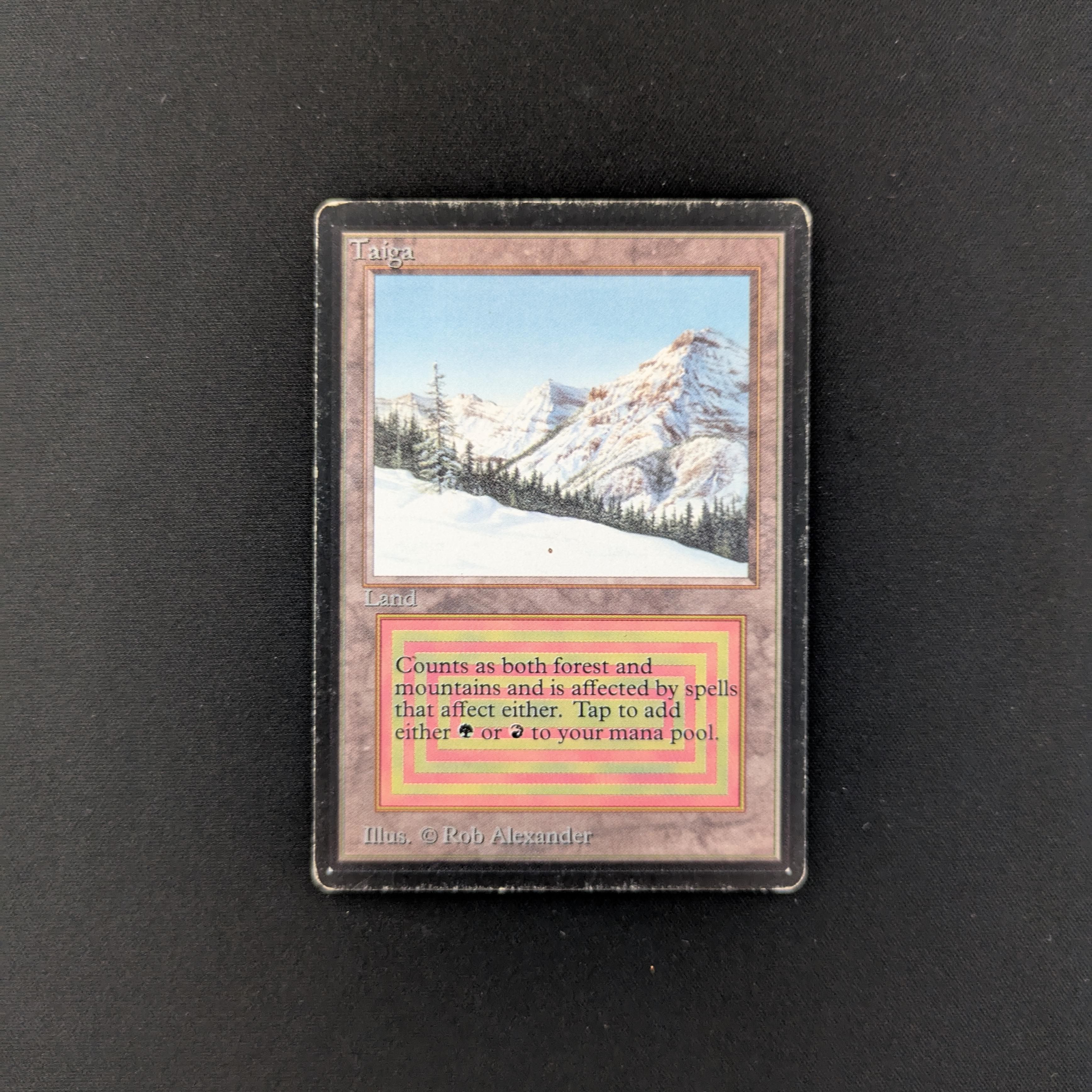 MTG Singles - Taiga - Beta - PL - 25578