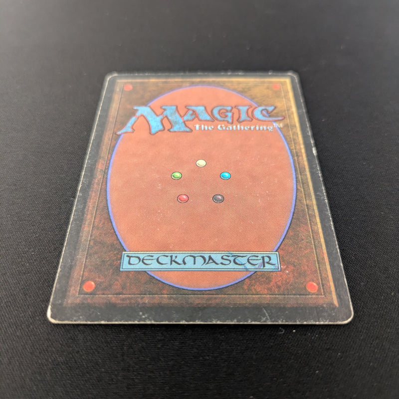 Magic the Gathering Bayou - Revised 