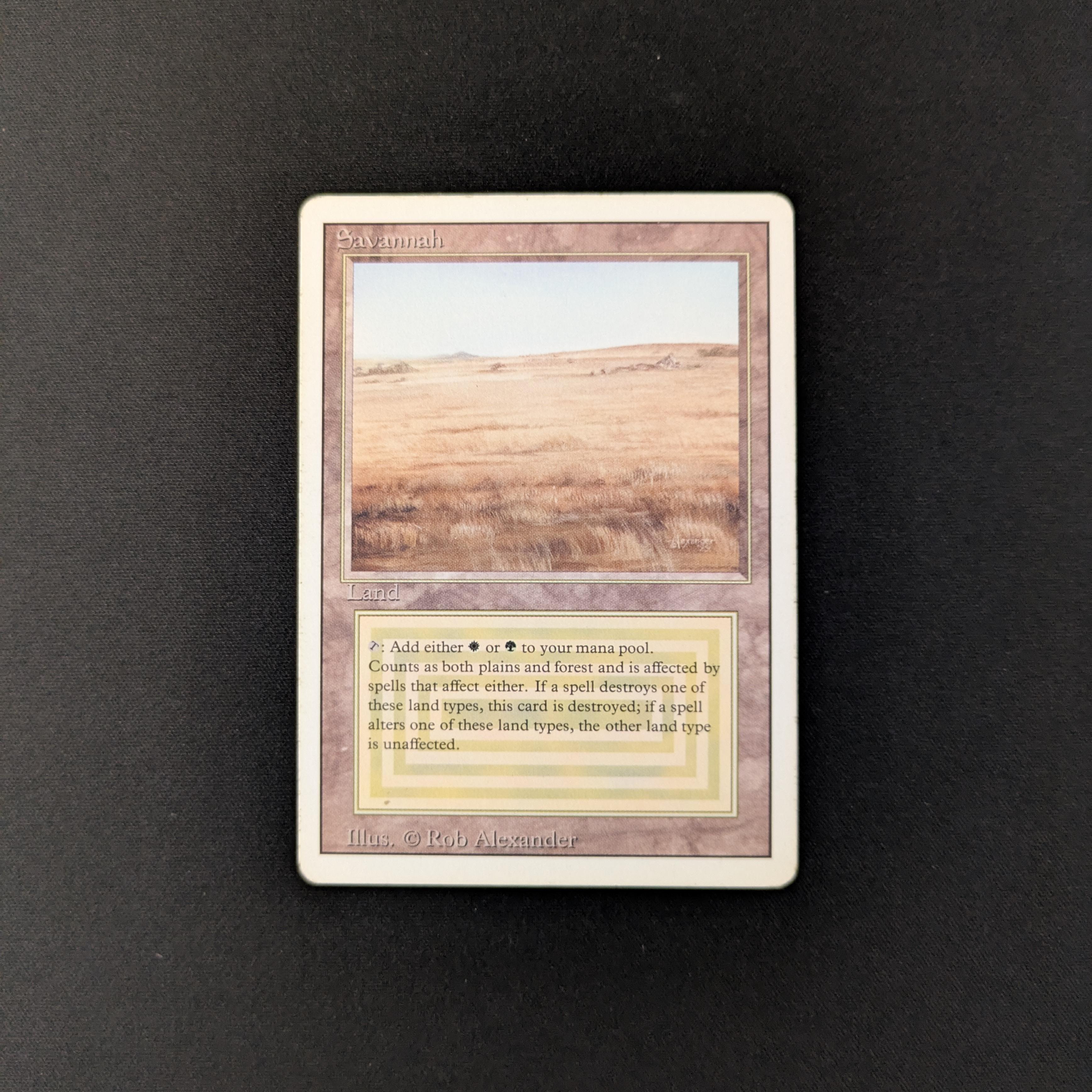 MTG Singles - Savannah - Revised - PL - 25586