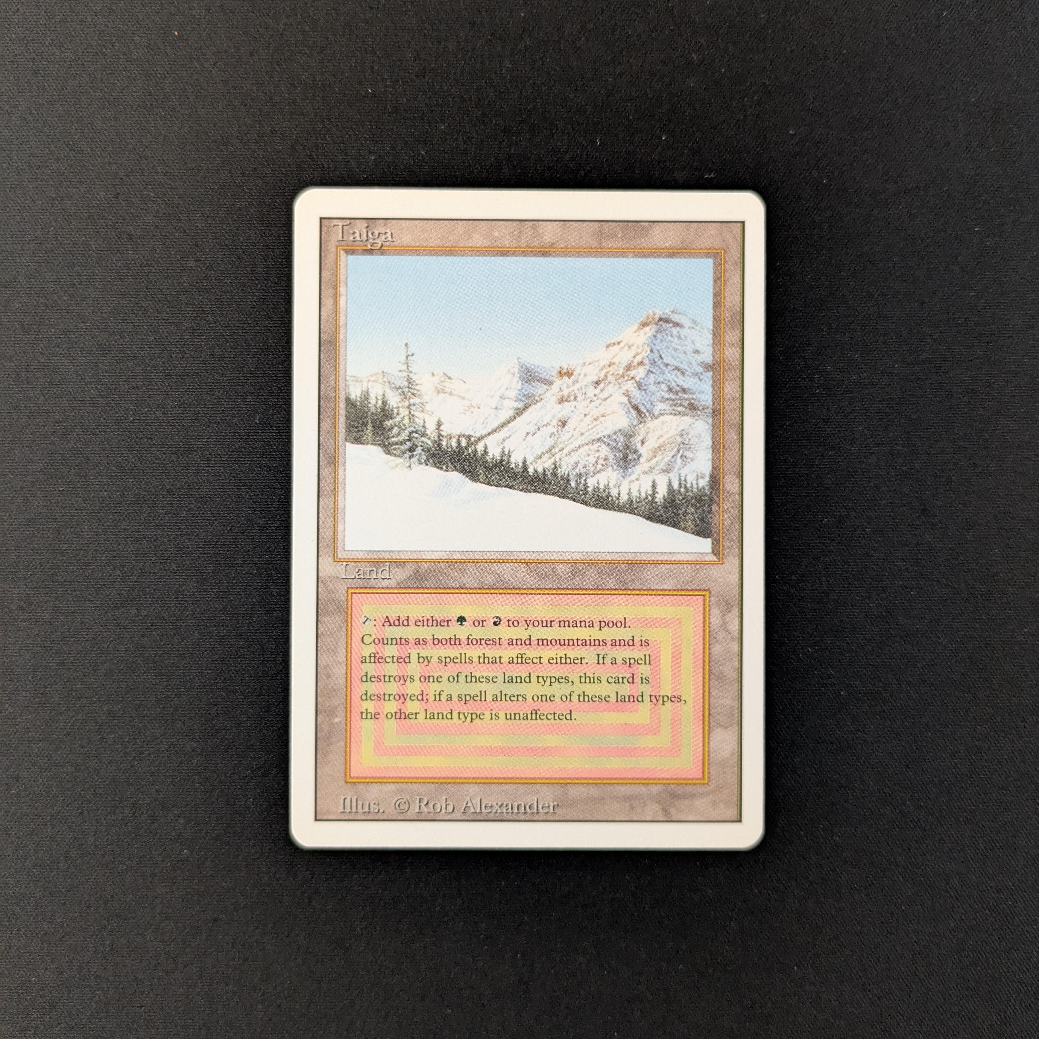 MTG Singles - Taiga - Revised - GD - 25588