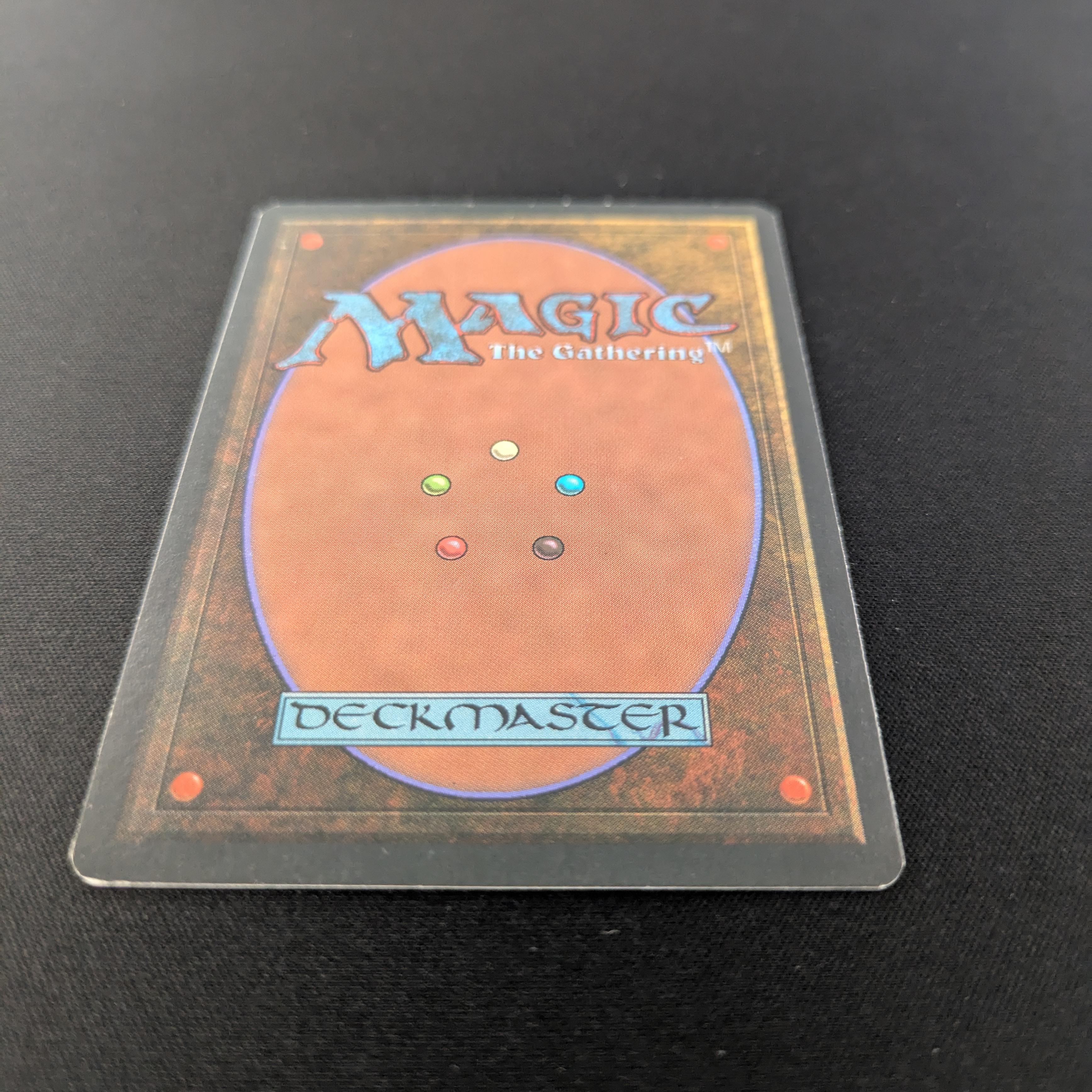 MTG Singles - Taiga - Revised - 