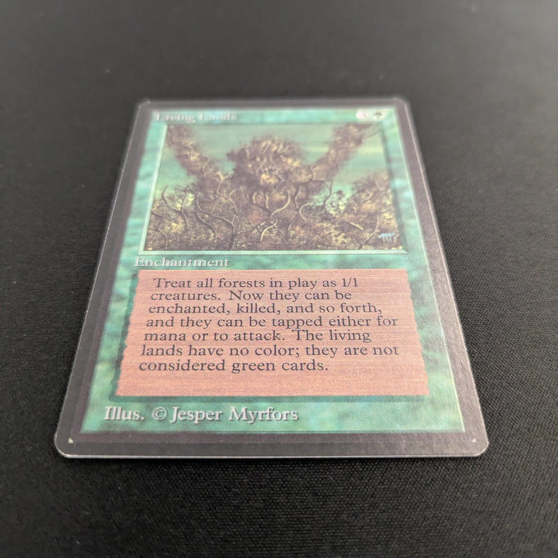 Magic the Gathering Living Lands - Beta 