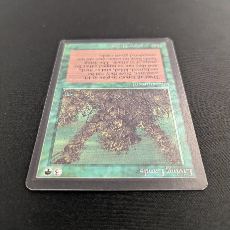 Magic the Gathering Living Lands - Beta 