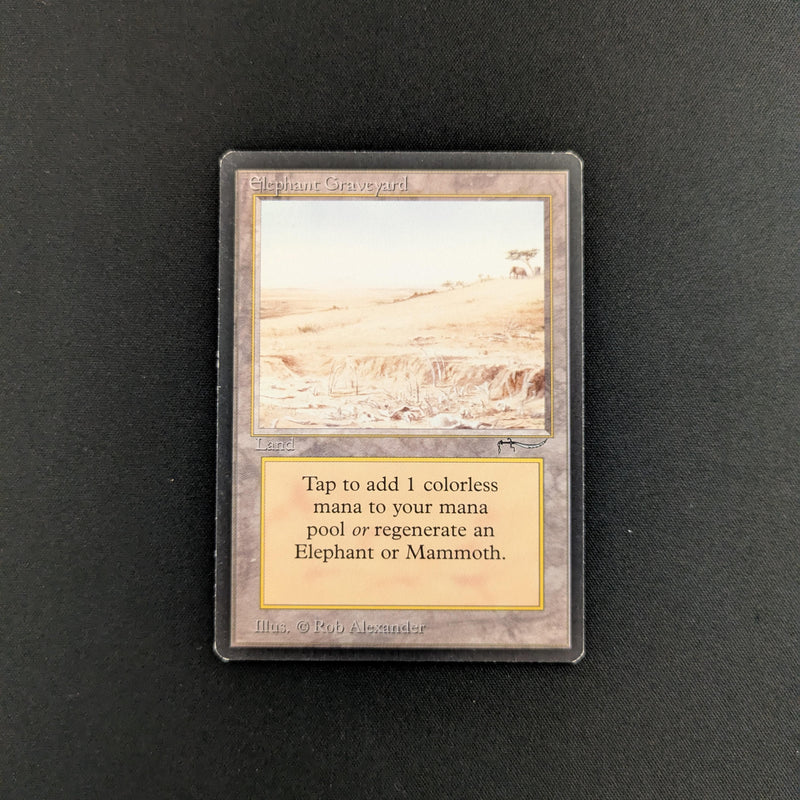 Magic the Gathering Elephant Graveyard - Arabian Nights GD - 25626