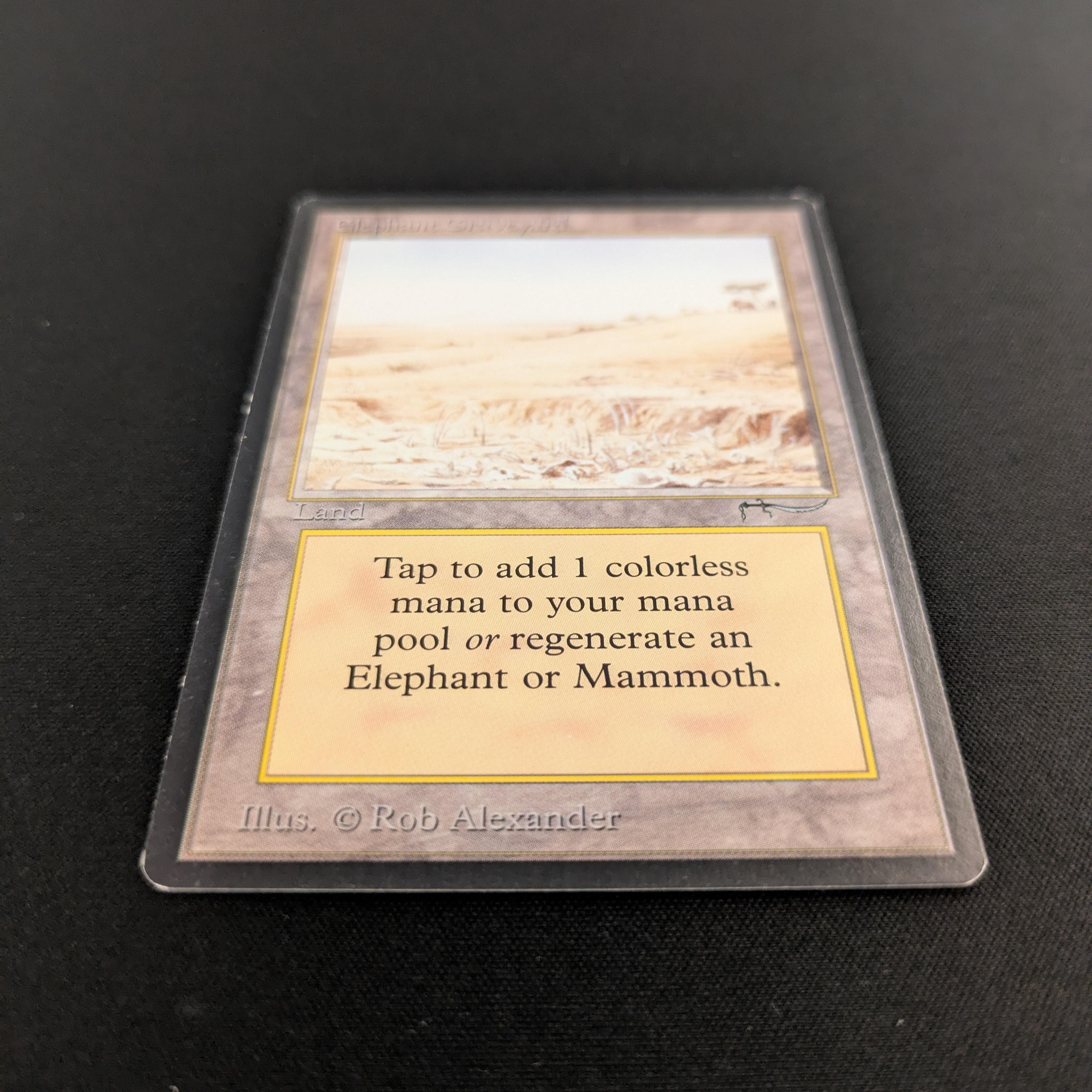 MTG Singles - Elephant Graveyard - Arabian Nights - 