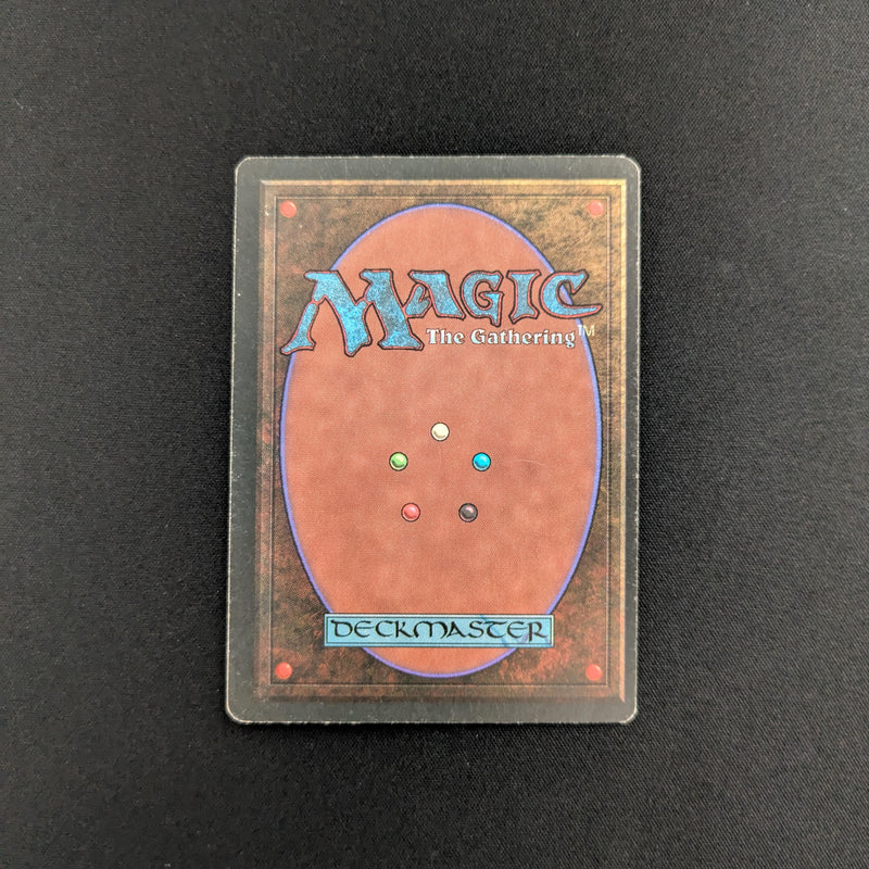 Magic the Gathering Wheel of Fortune - Revised 