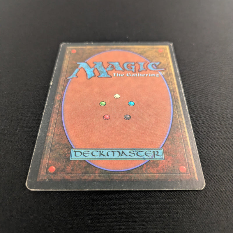 Magic the Gathering Wheel of Fortune - Revised 