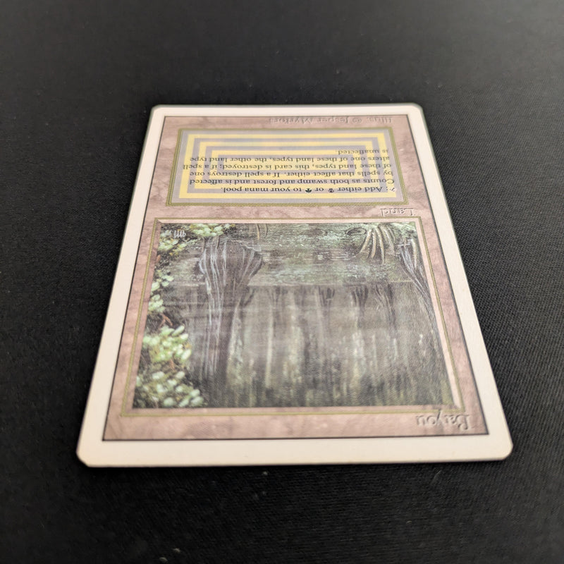 Magic the Gathering Bayou - Revised 
