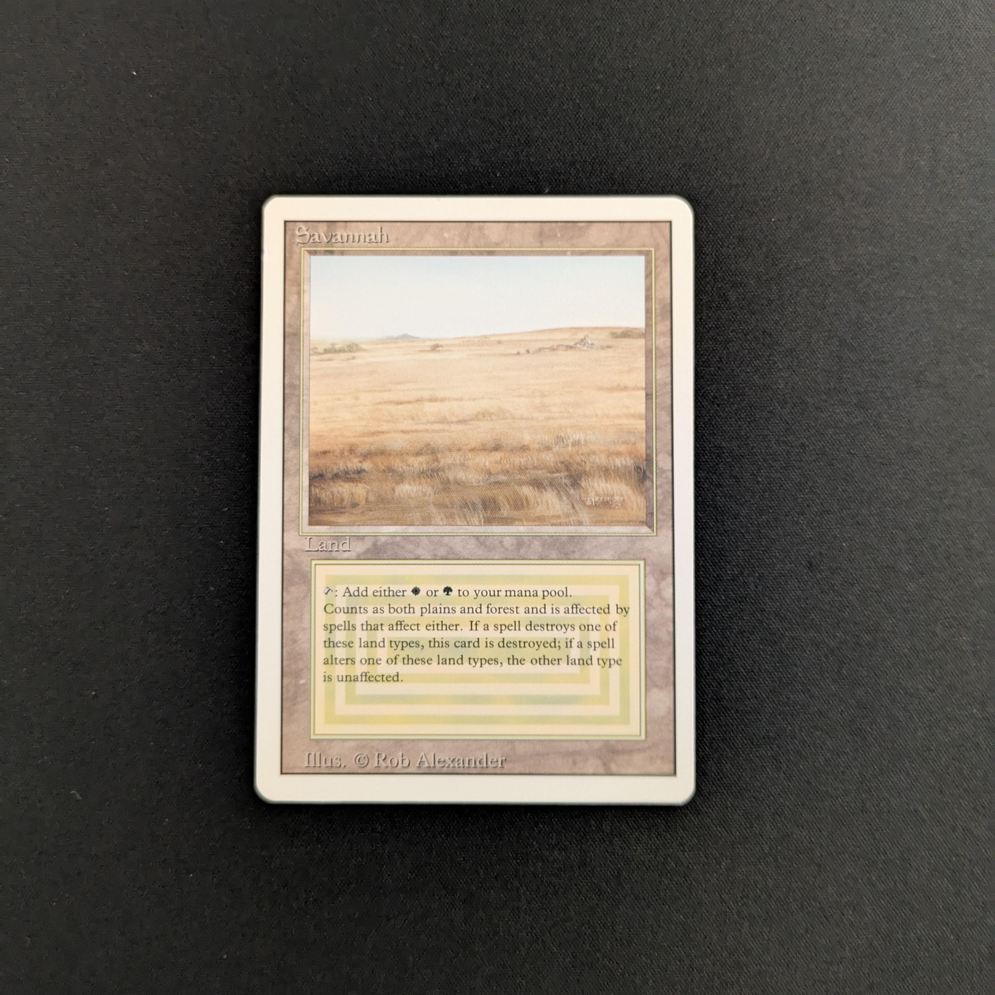 MTG Singles - Savannah - Revised - EX - 25660