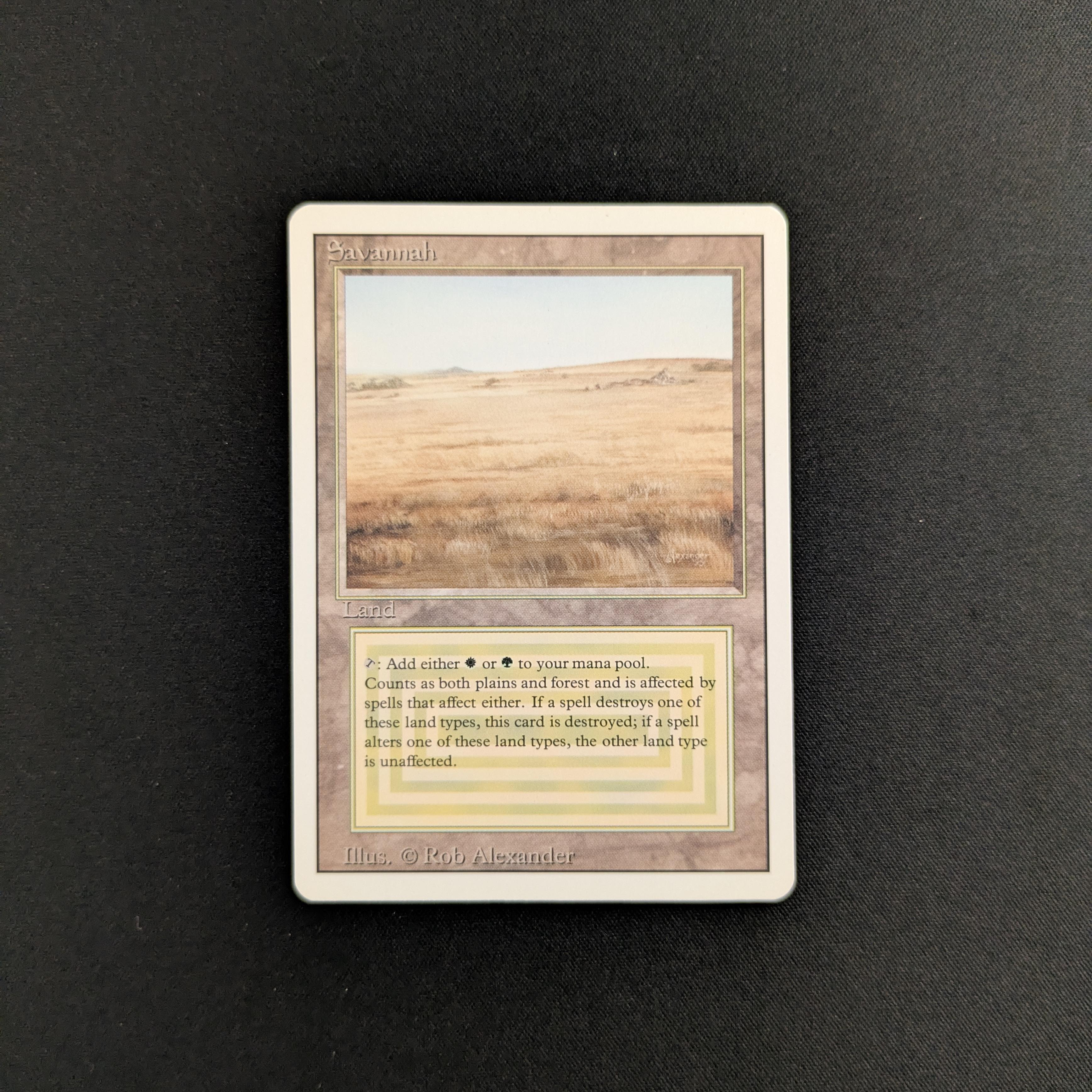 MTG Singles - Savannah - Revised - EX - 25661