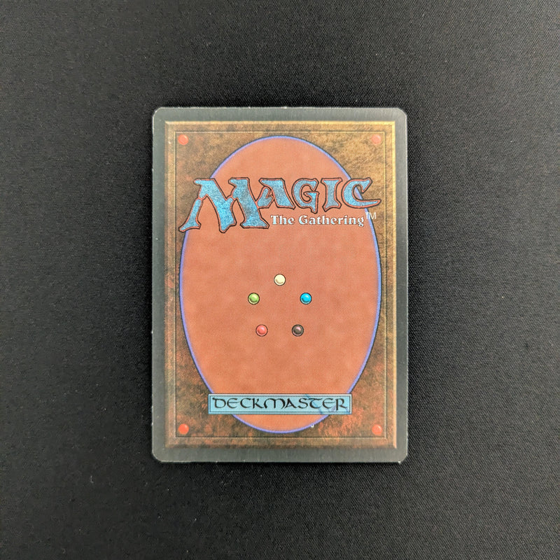 Magic the Gathering Savannah - Revised 