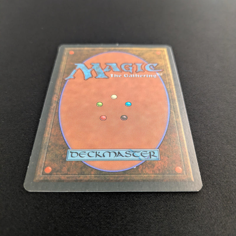 Magic the Gathering Savannah - Revised 