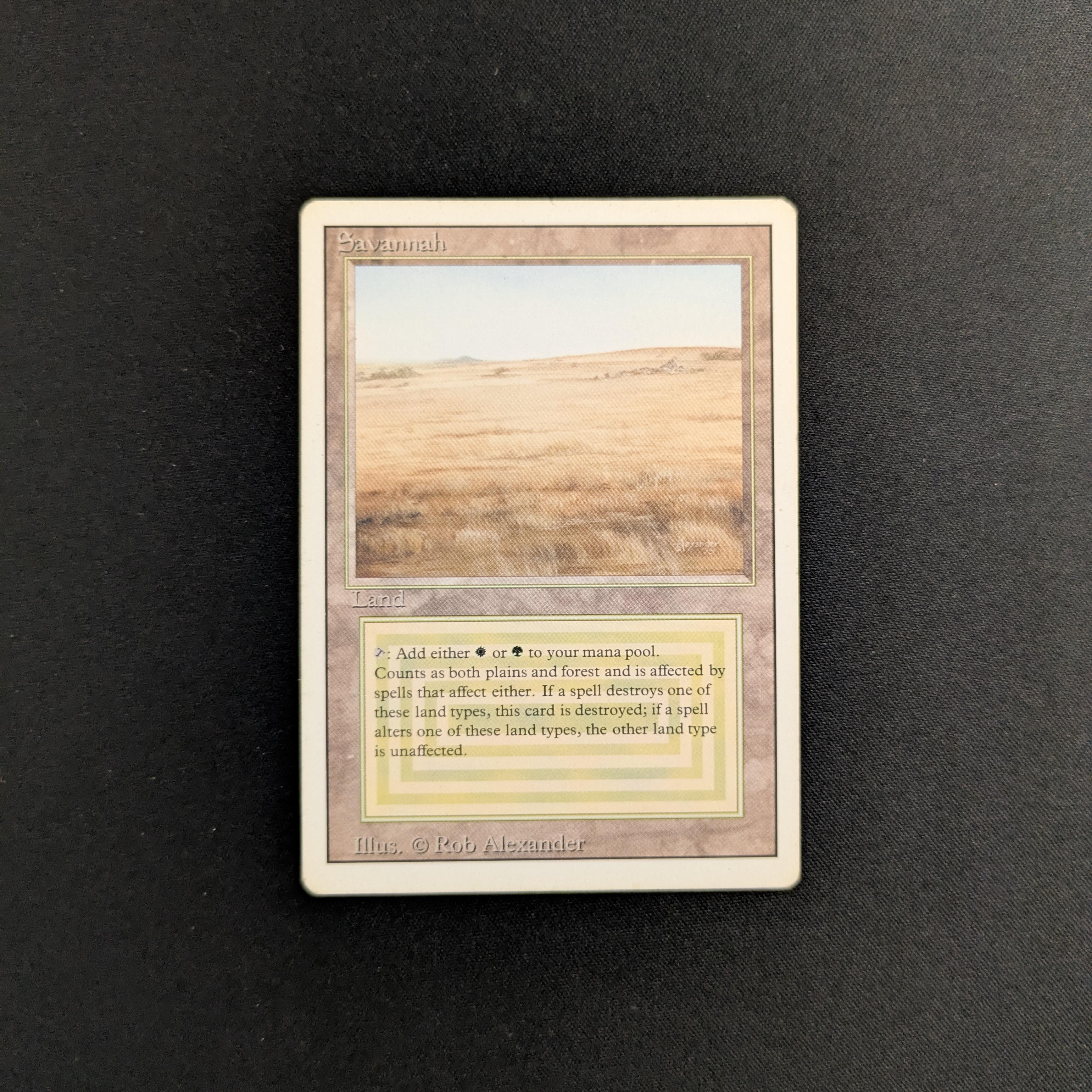 MTG Singles - Savannah - Revised - LP - 25663