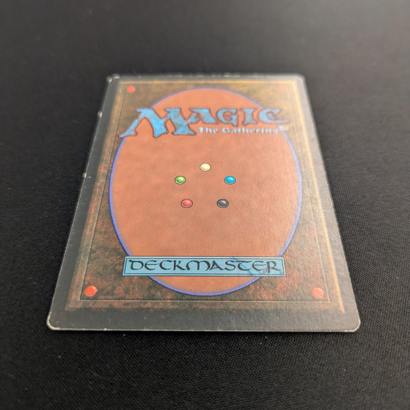 Magic the Gathering Savannah - Revised 