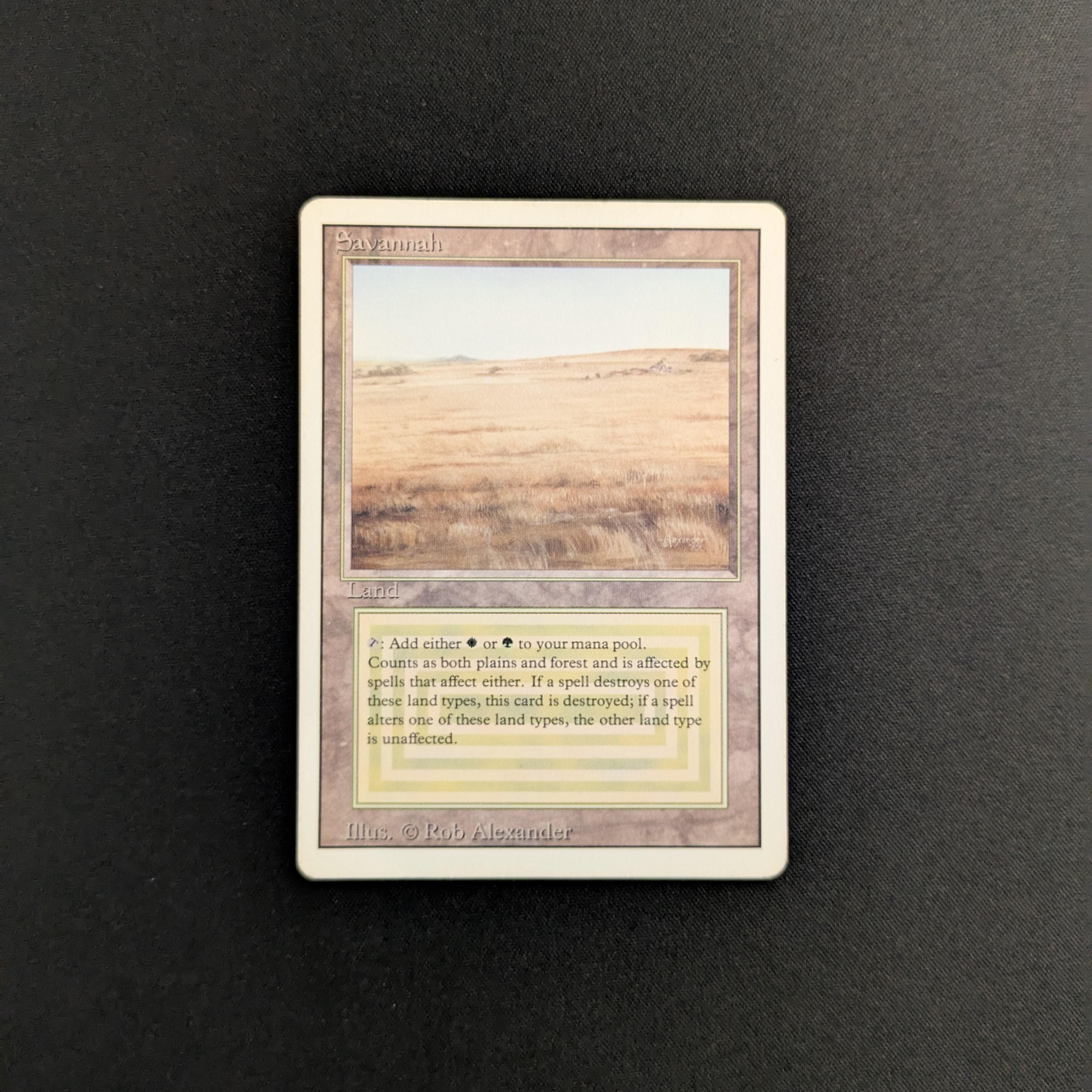 MTG Singles - Savannah - Revised - PL - 25665