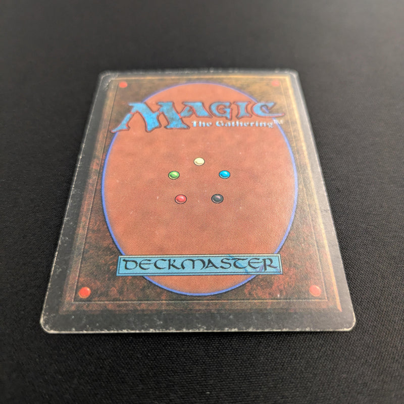 Magic the Gathering Savannah - Revised 