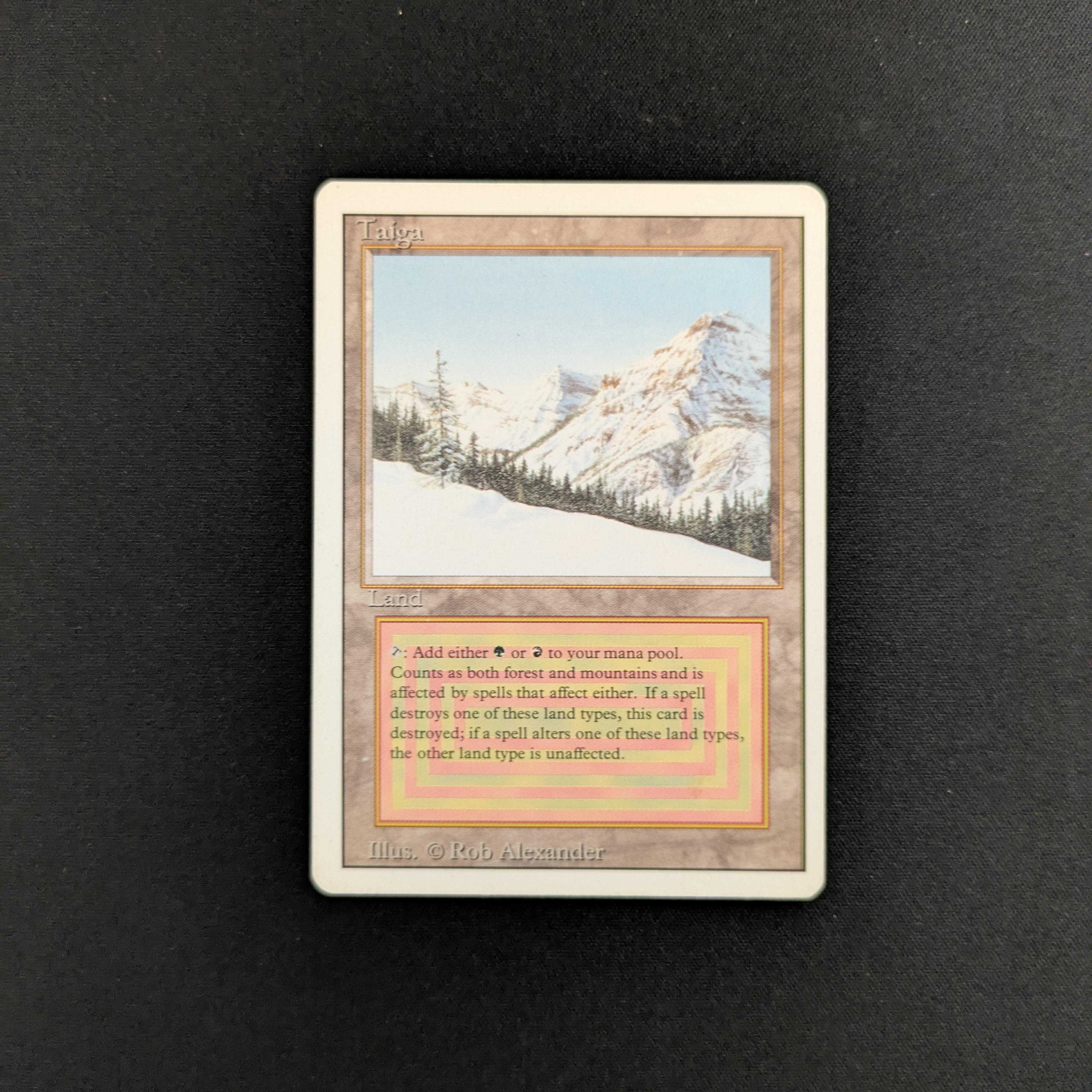 MTG Singles - Taiga - Revised - GD - 25671