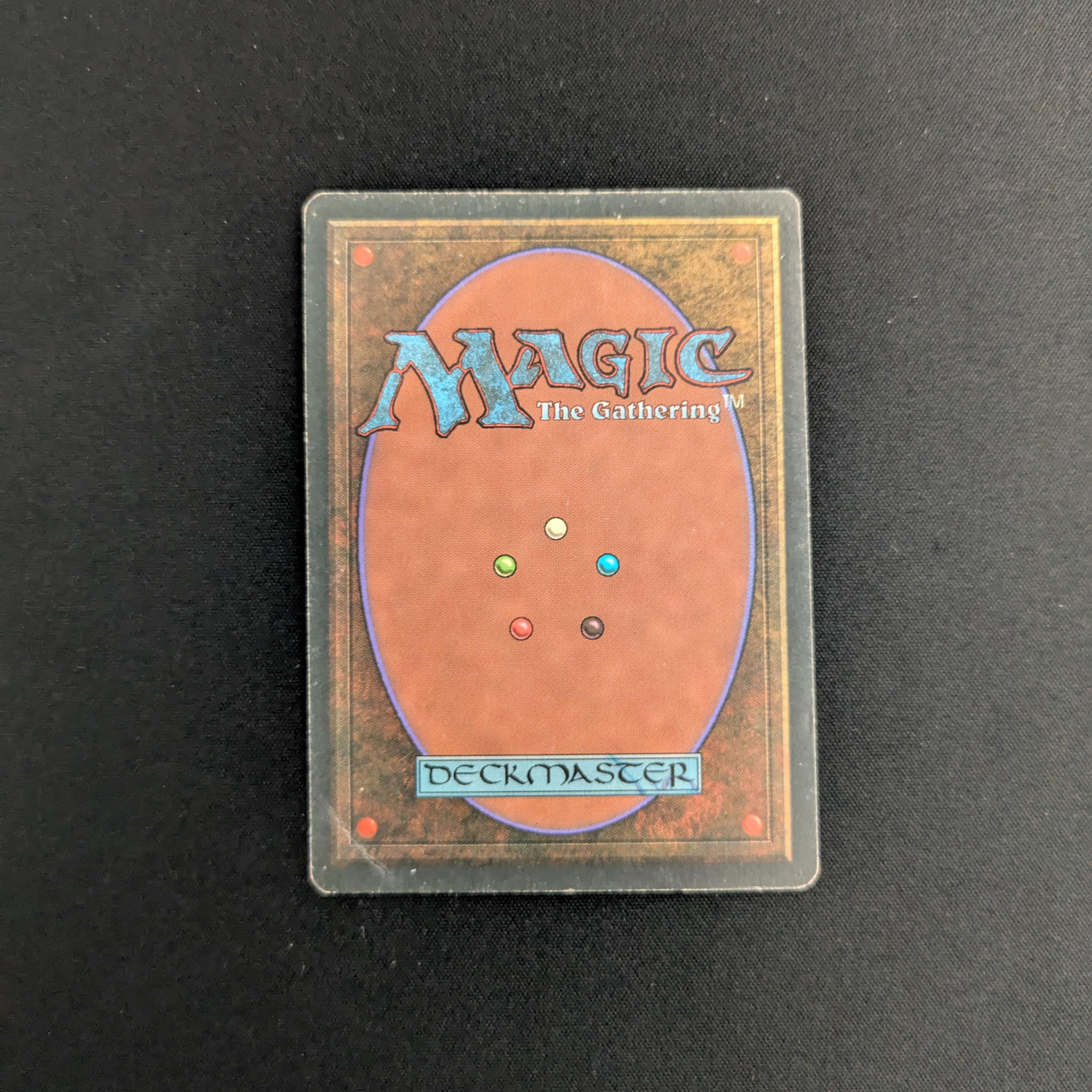 MTG Singles - Taiga - Revised - 