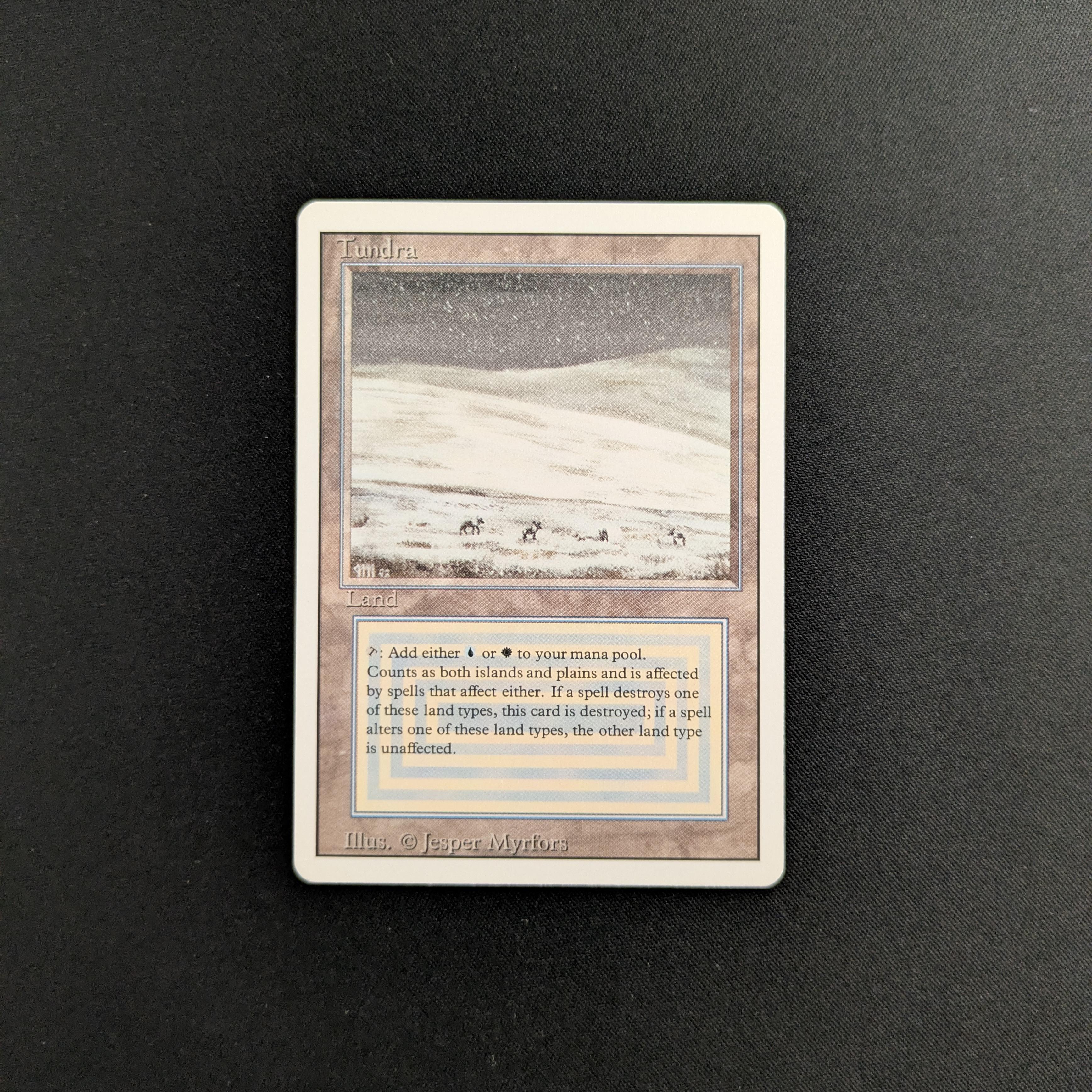 MTG Singles - Tundra - Revised - NM - 25679