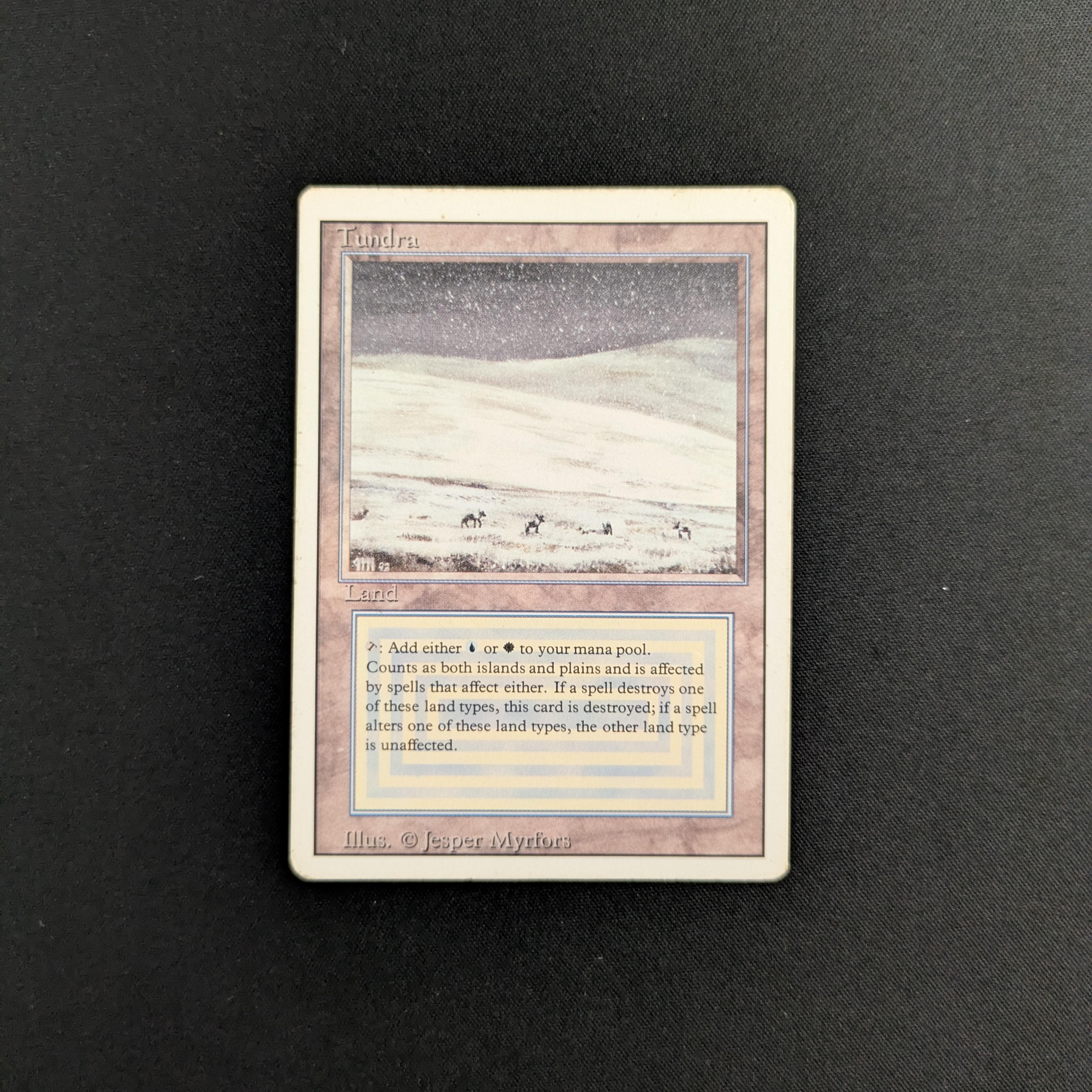 MTG Singles - Tundra - Revised - PL - 25681