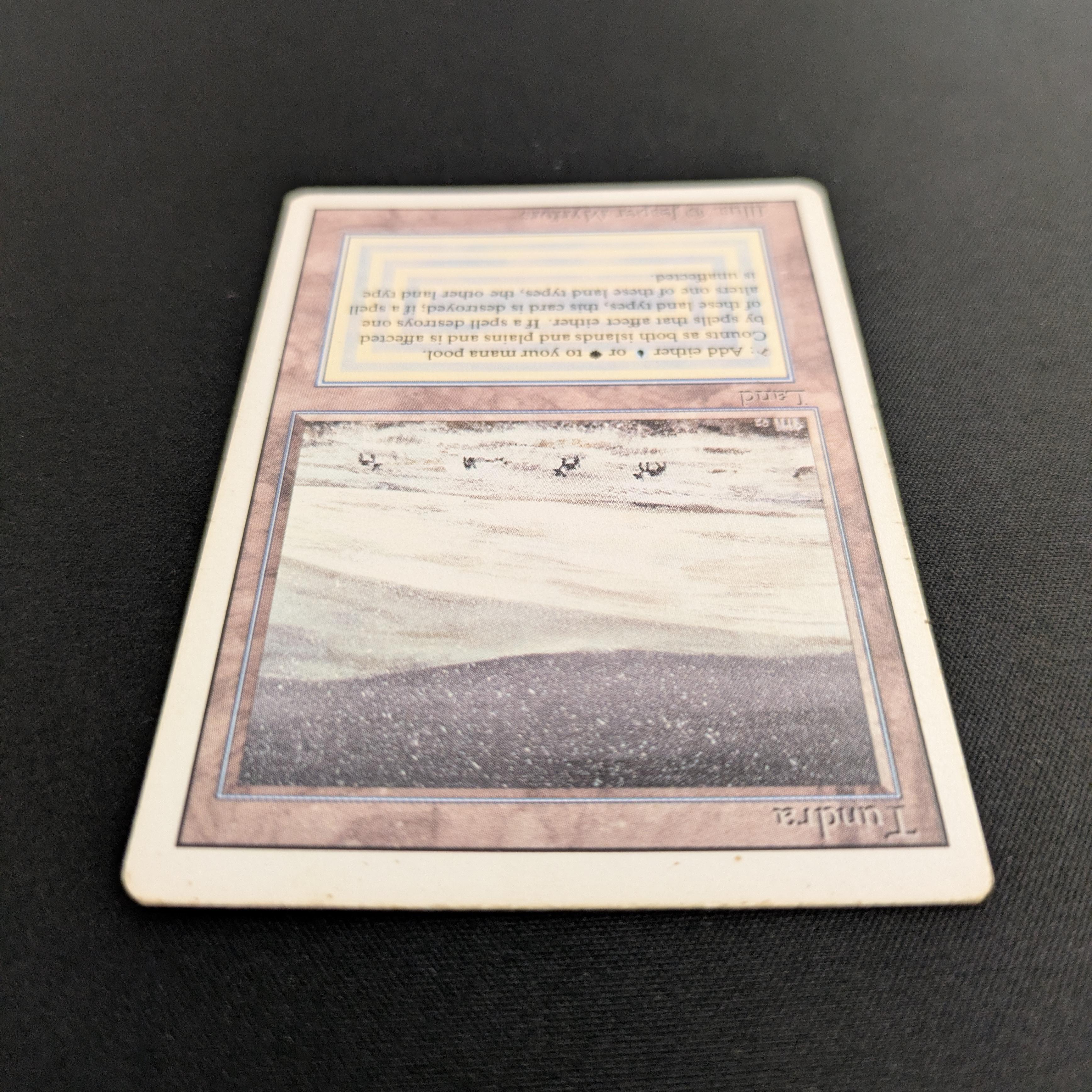 MTG Singles - Tundra - Revised - 