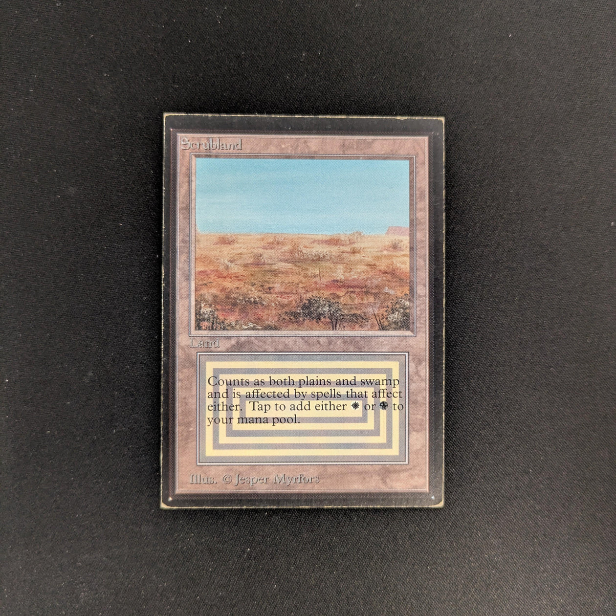MTG Singles - Scrubland - International Edition - PL - 25748