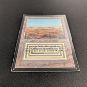 MTG Singles - Scrubland - International Edition - 