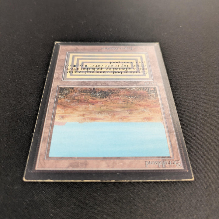 MTG Singles - Scrubland - International Edition - 