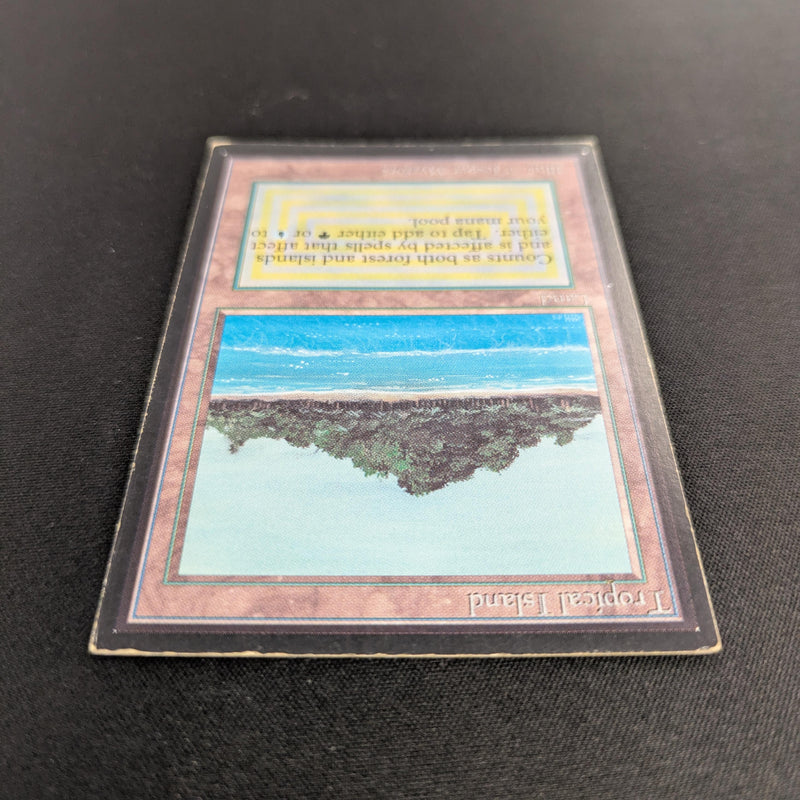 MTG Singles - Tropical Island - International Edition - 