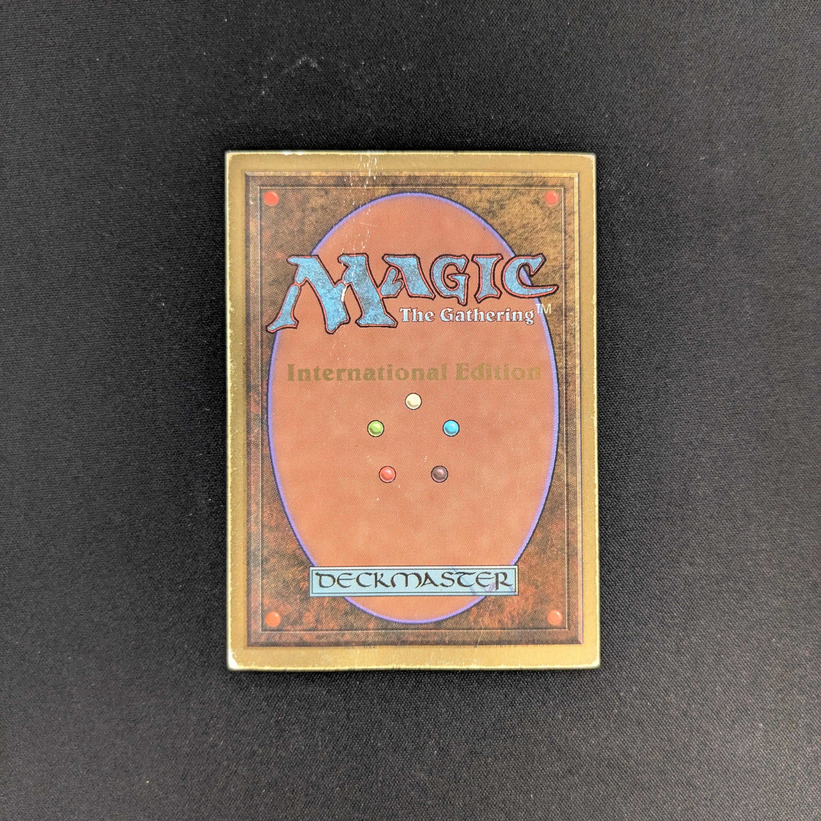 MTG Singles - Tundra - International Edition - 