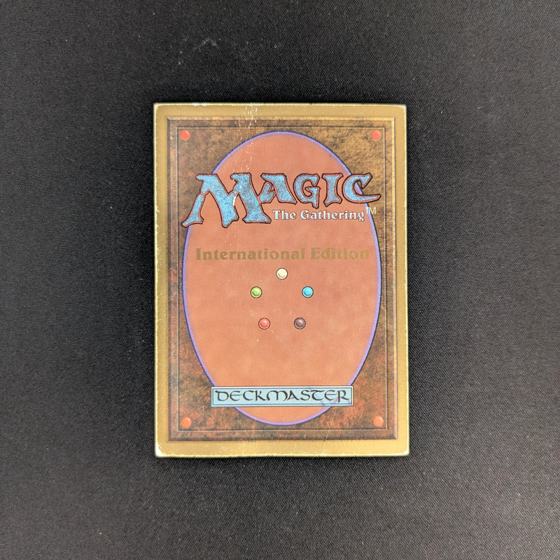 MTG Singles - Tundra - International Edition - 