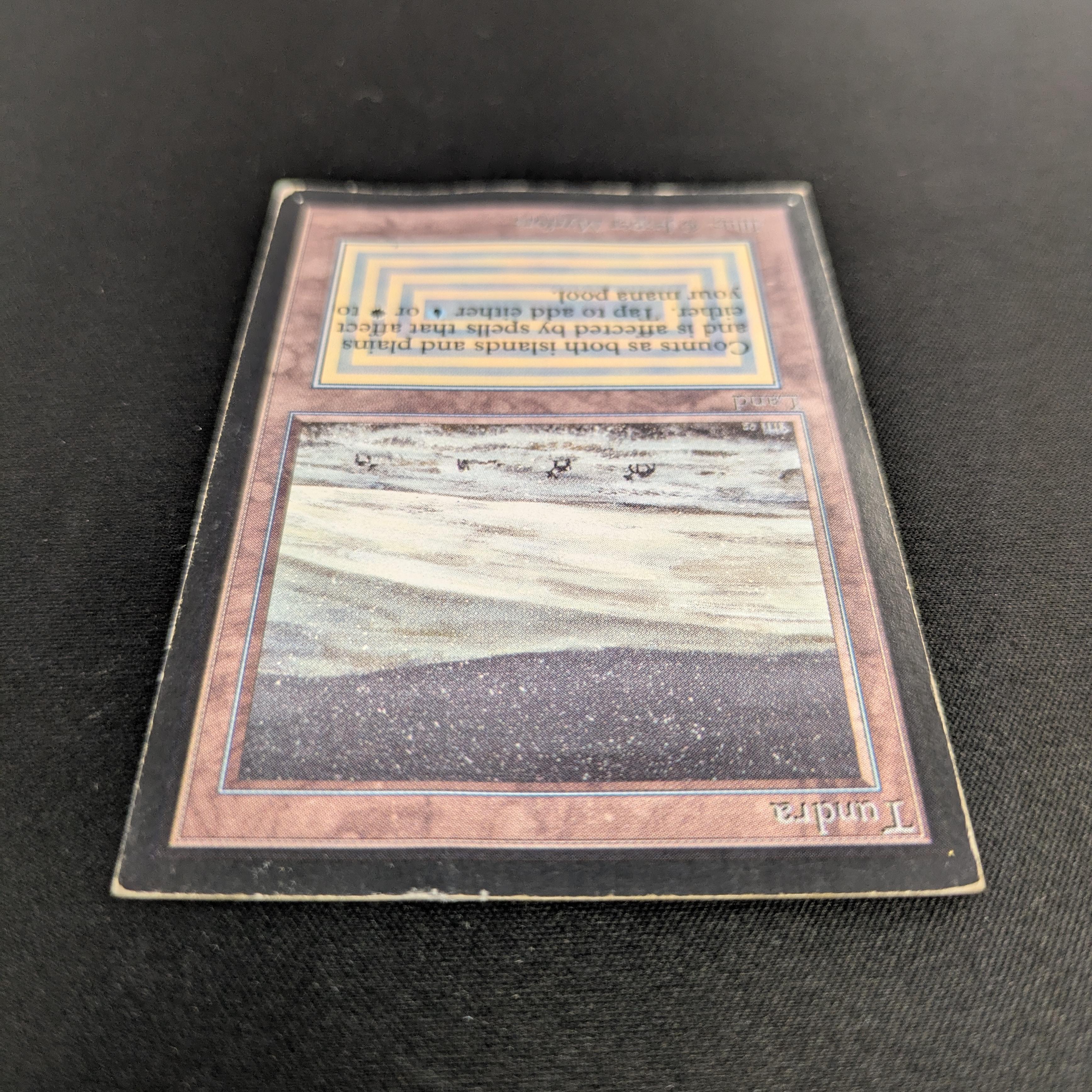 MTG Singles - Tundra - International Edition - 