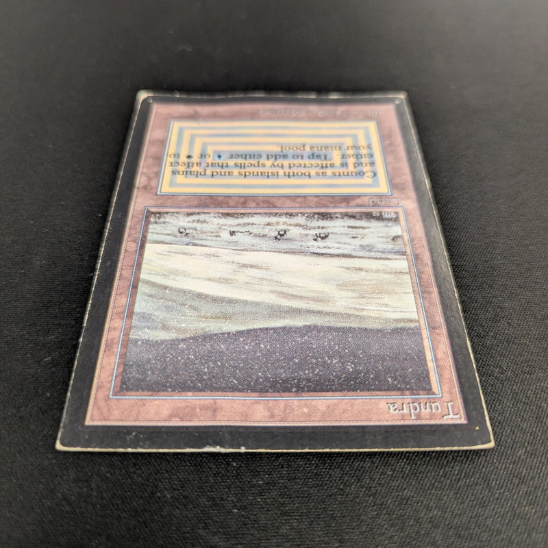 MTG Singles - Tundra - International Edition - 