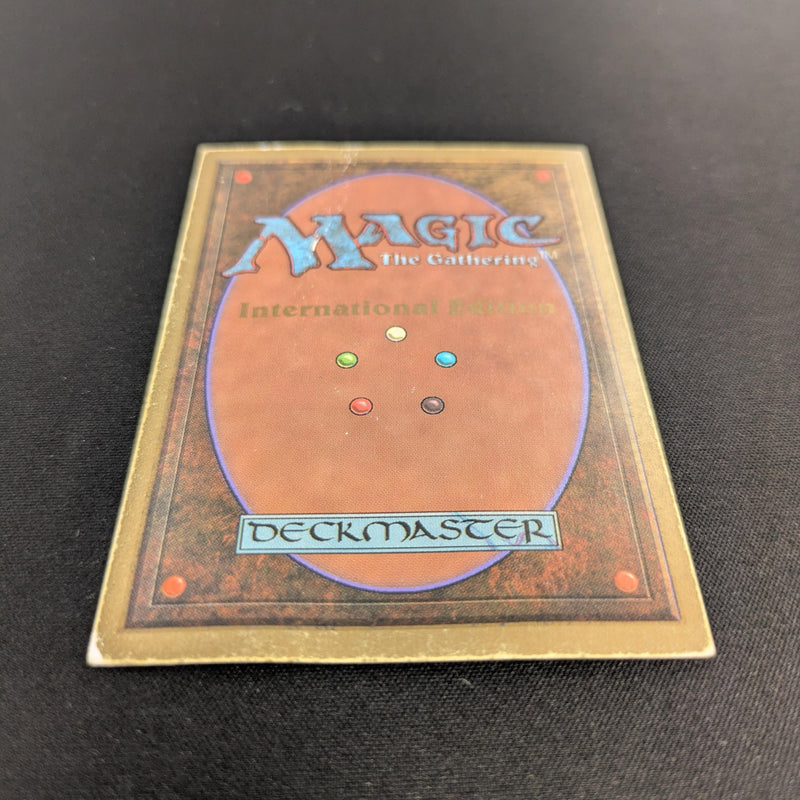 MTG Singles - Tundra - International Edition - 