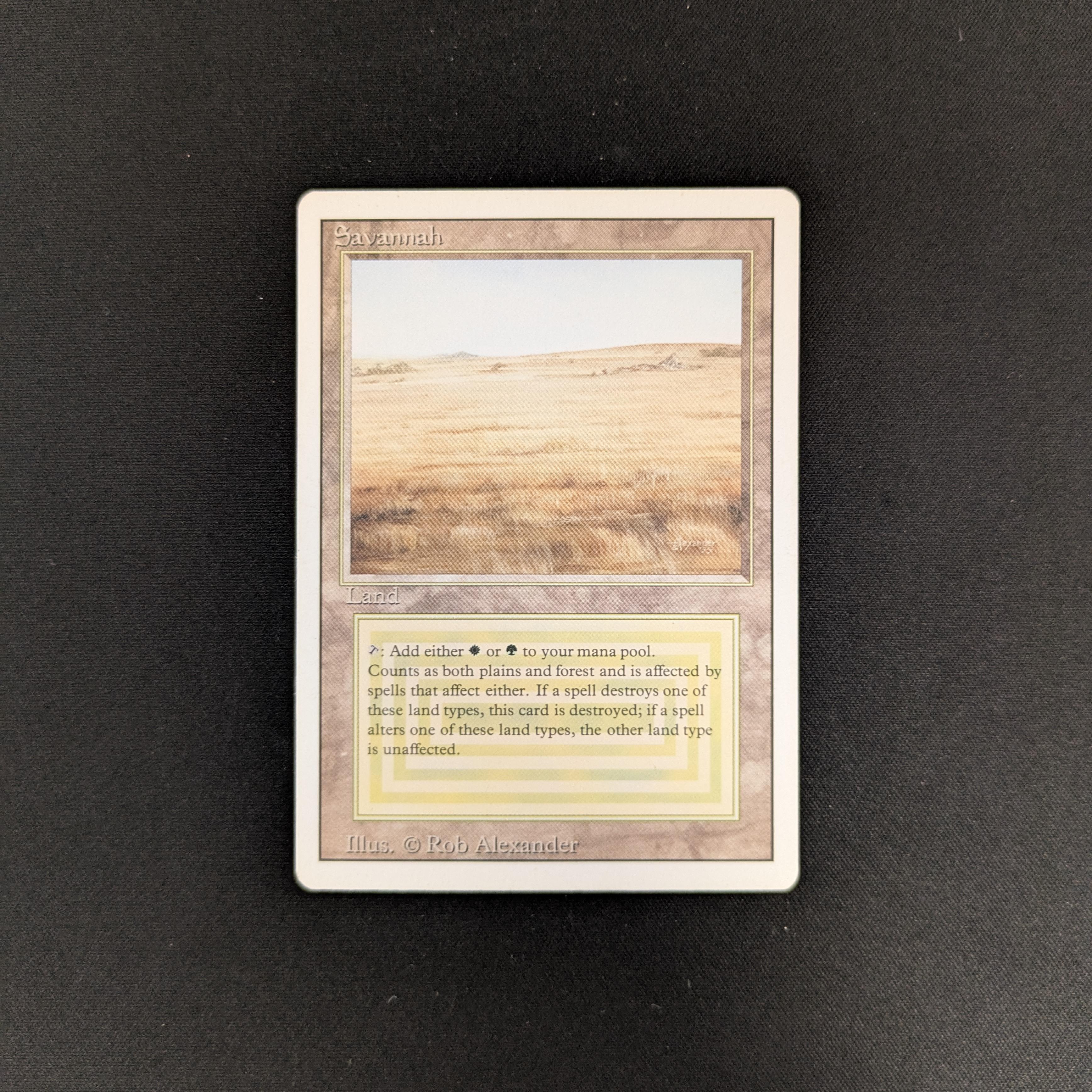 MTG Singles - Savannah - Revised - GD - 25758