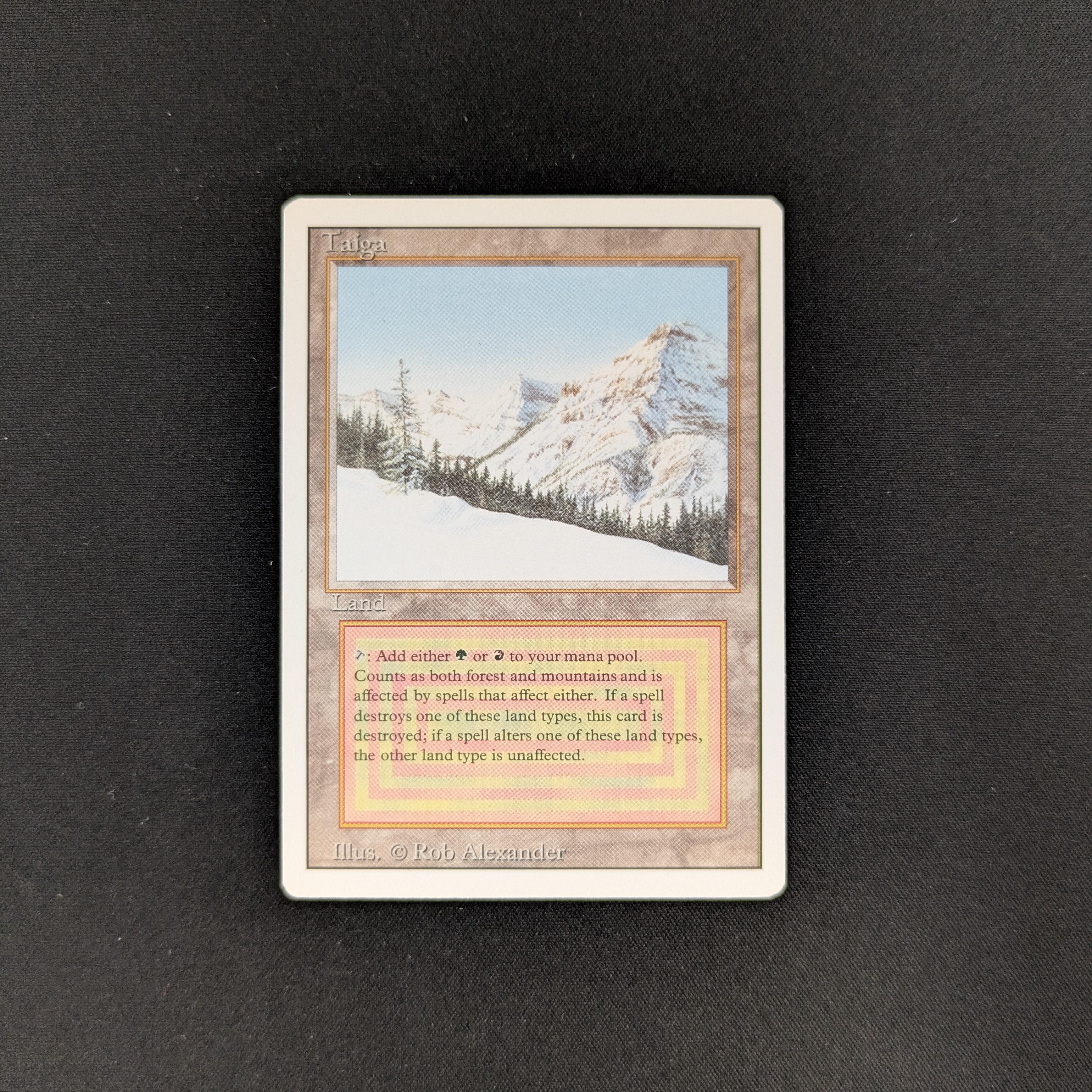 MTG Singles - Taiga - Revised - 