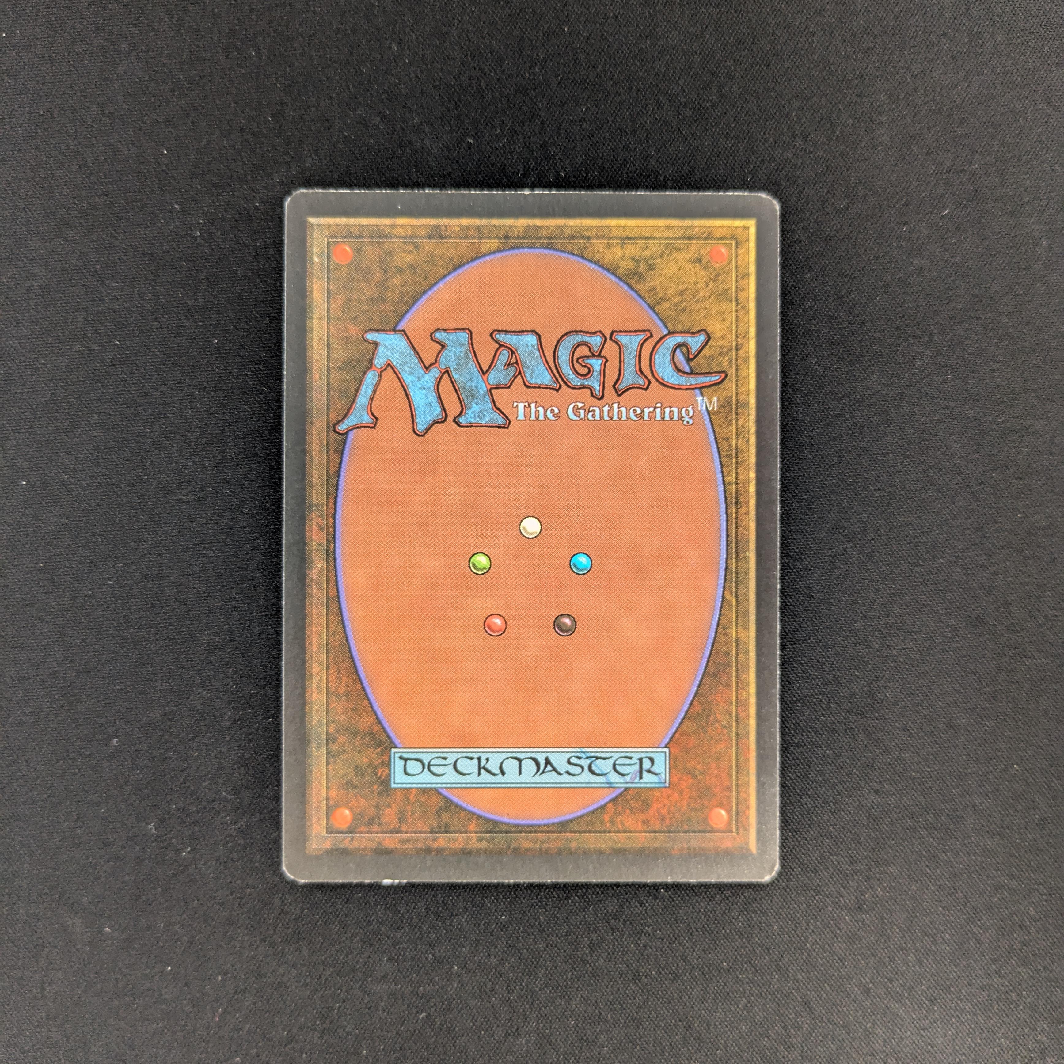 MTG Singles - Taiga - Revised - 
