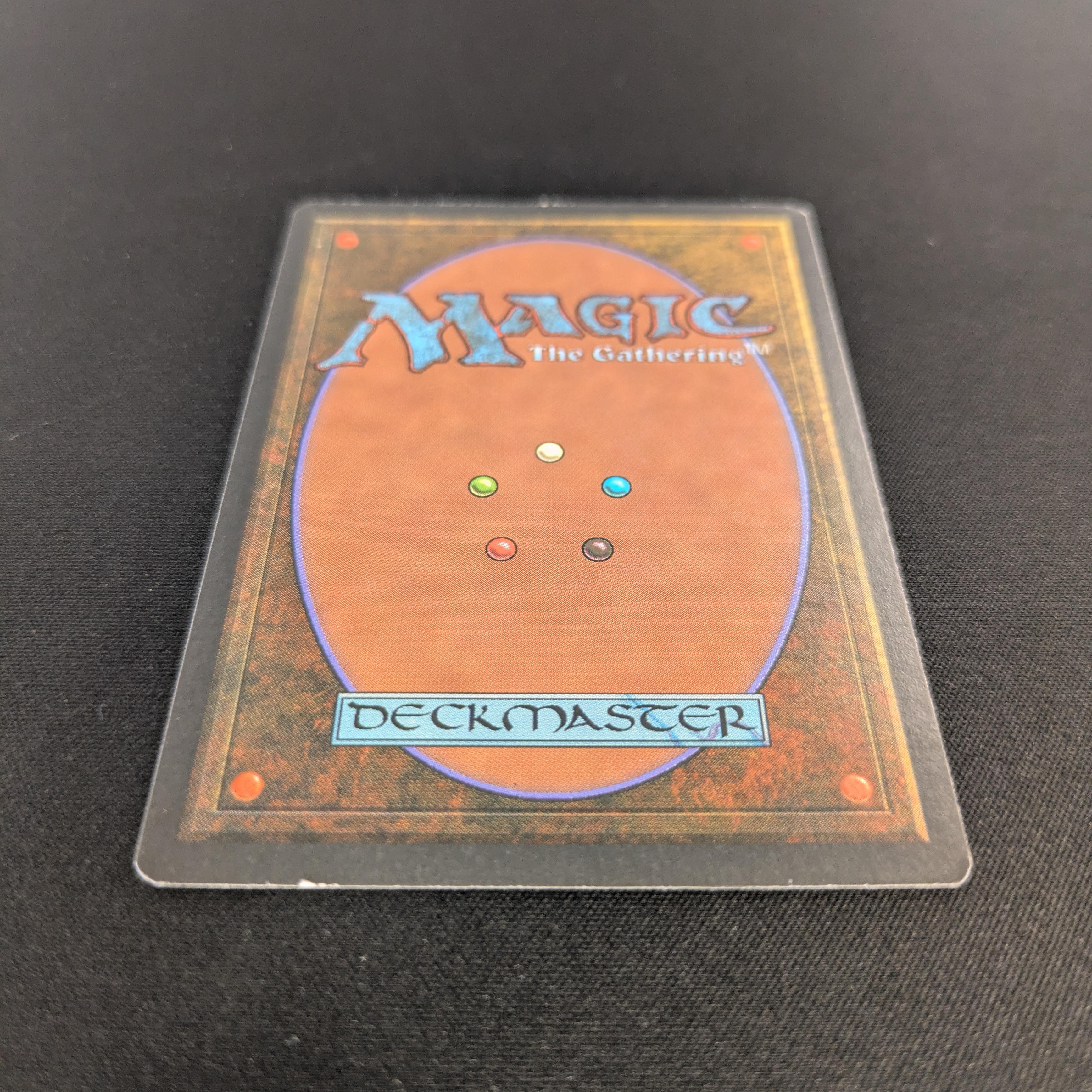 MTG Singles - Taiga - Revised - 