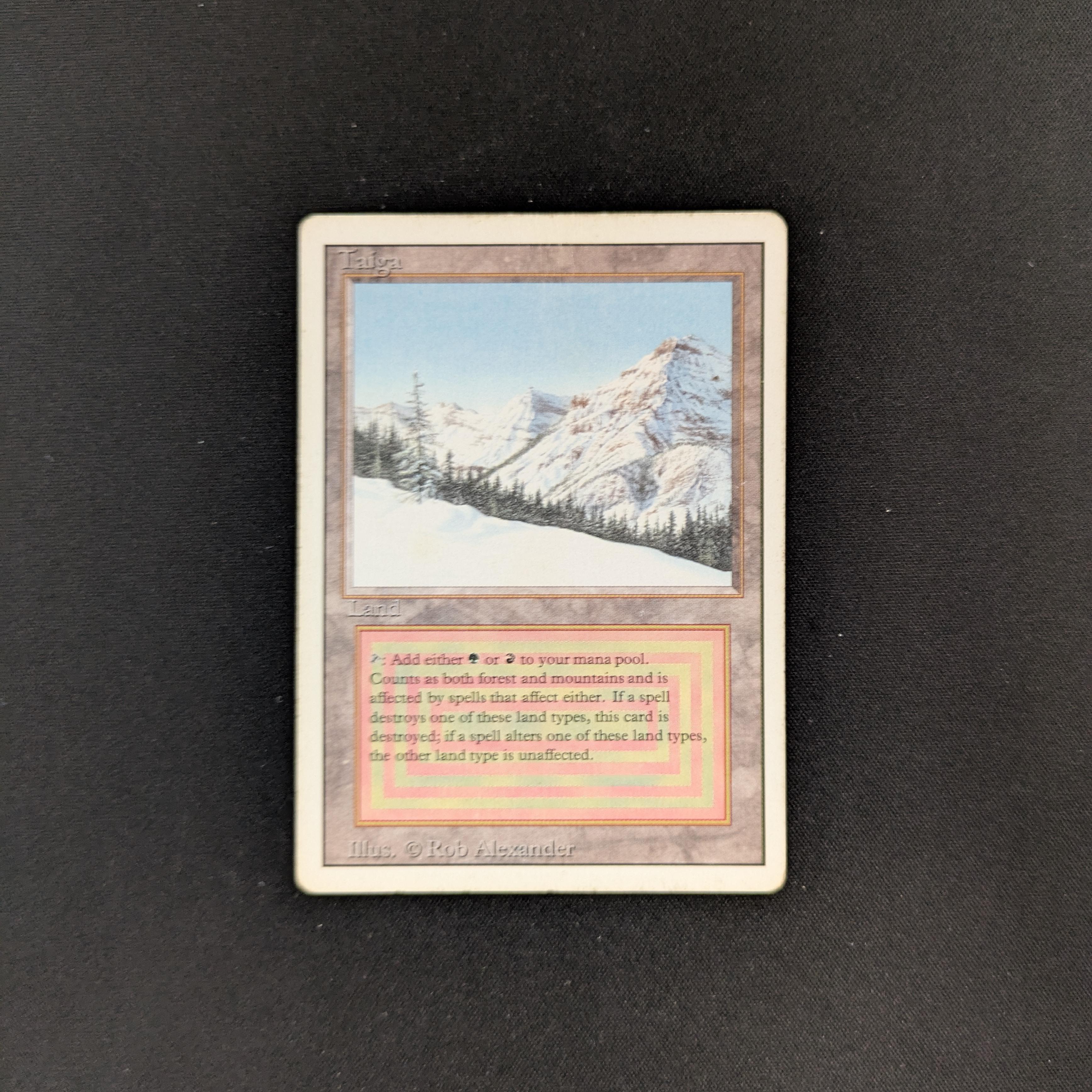MTG Singles - Taiga - Revised - 