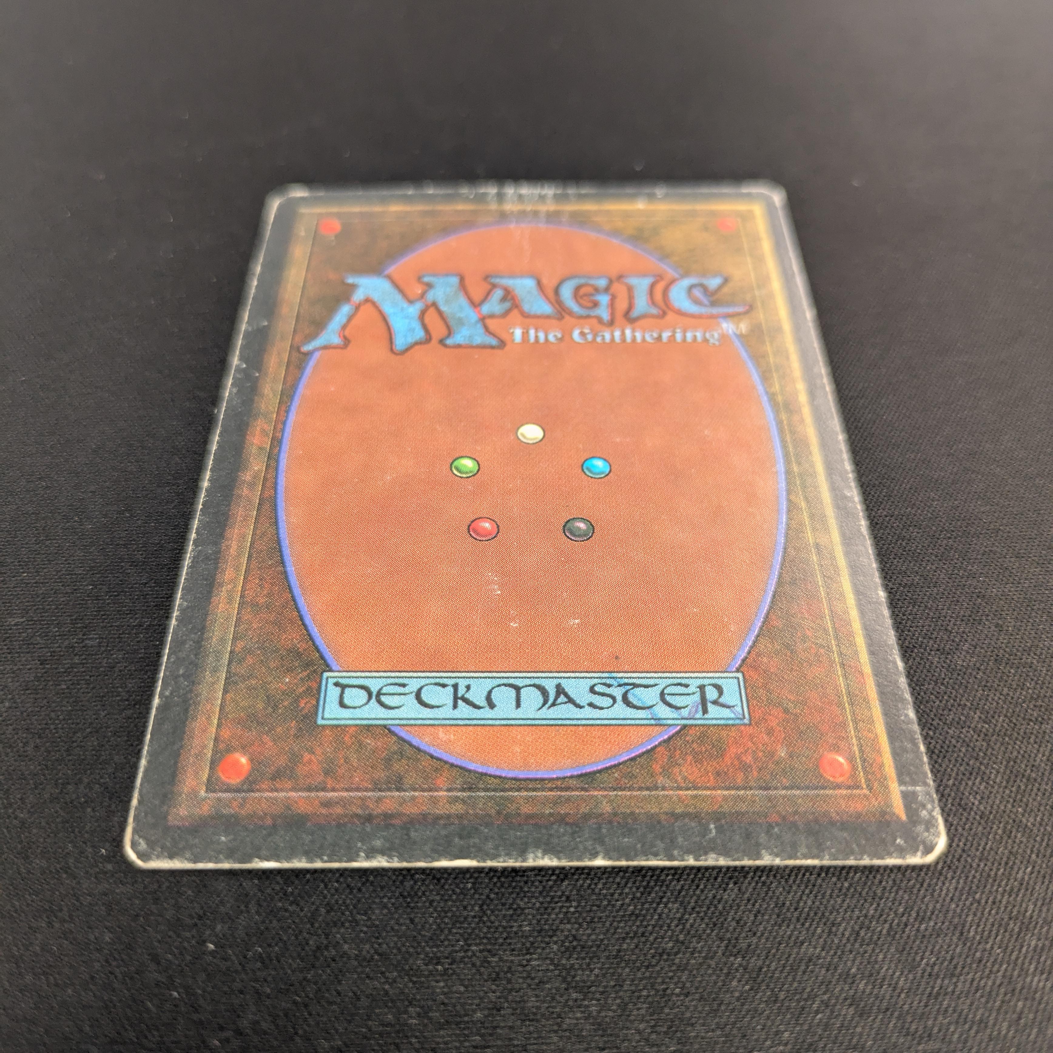 MTG Singles - Taiga - Revised - 