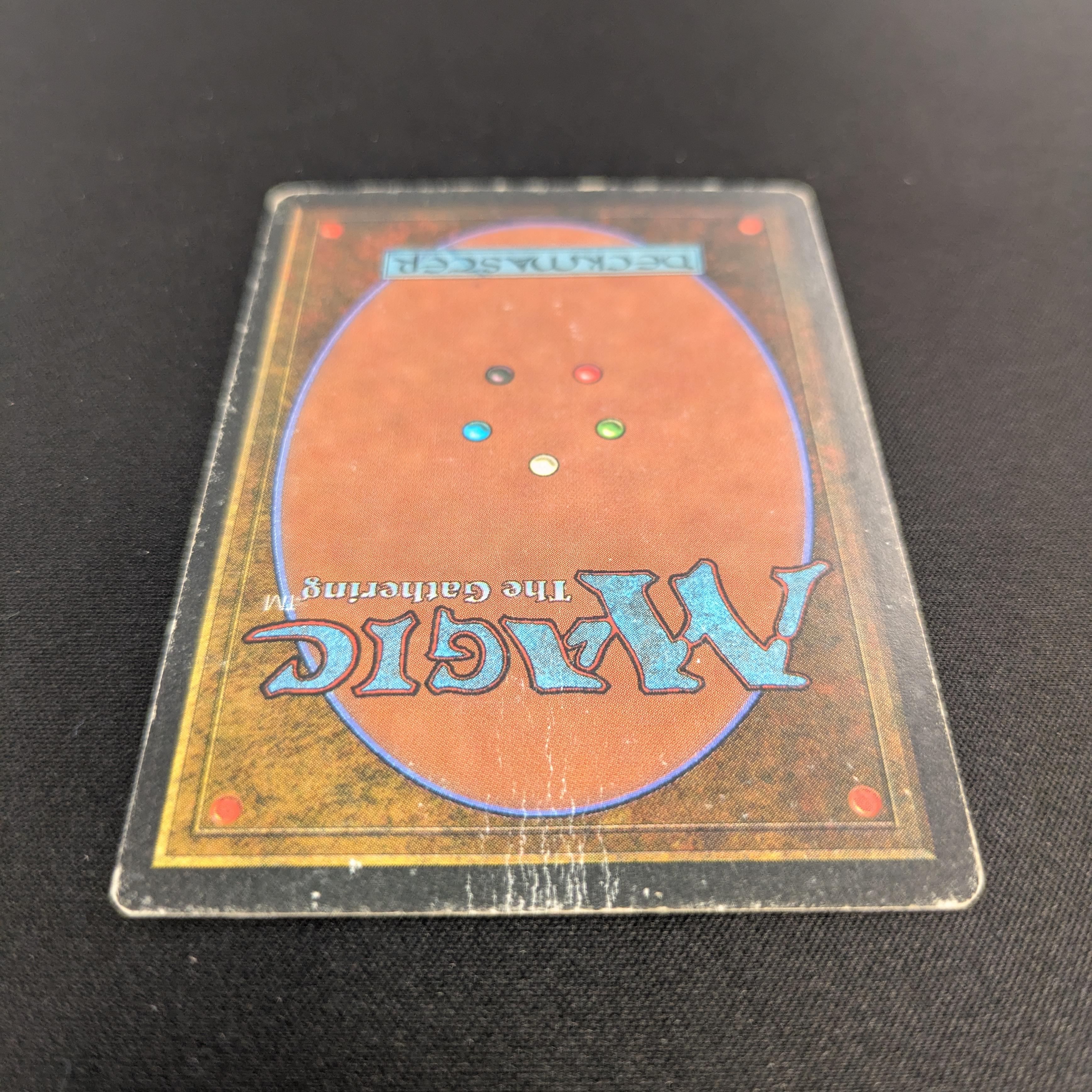 MTG Singles - Taiga - Revised - 