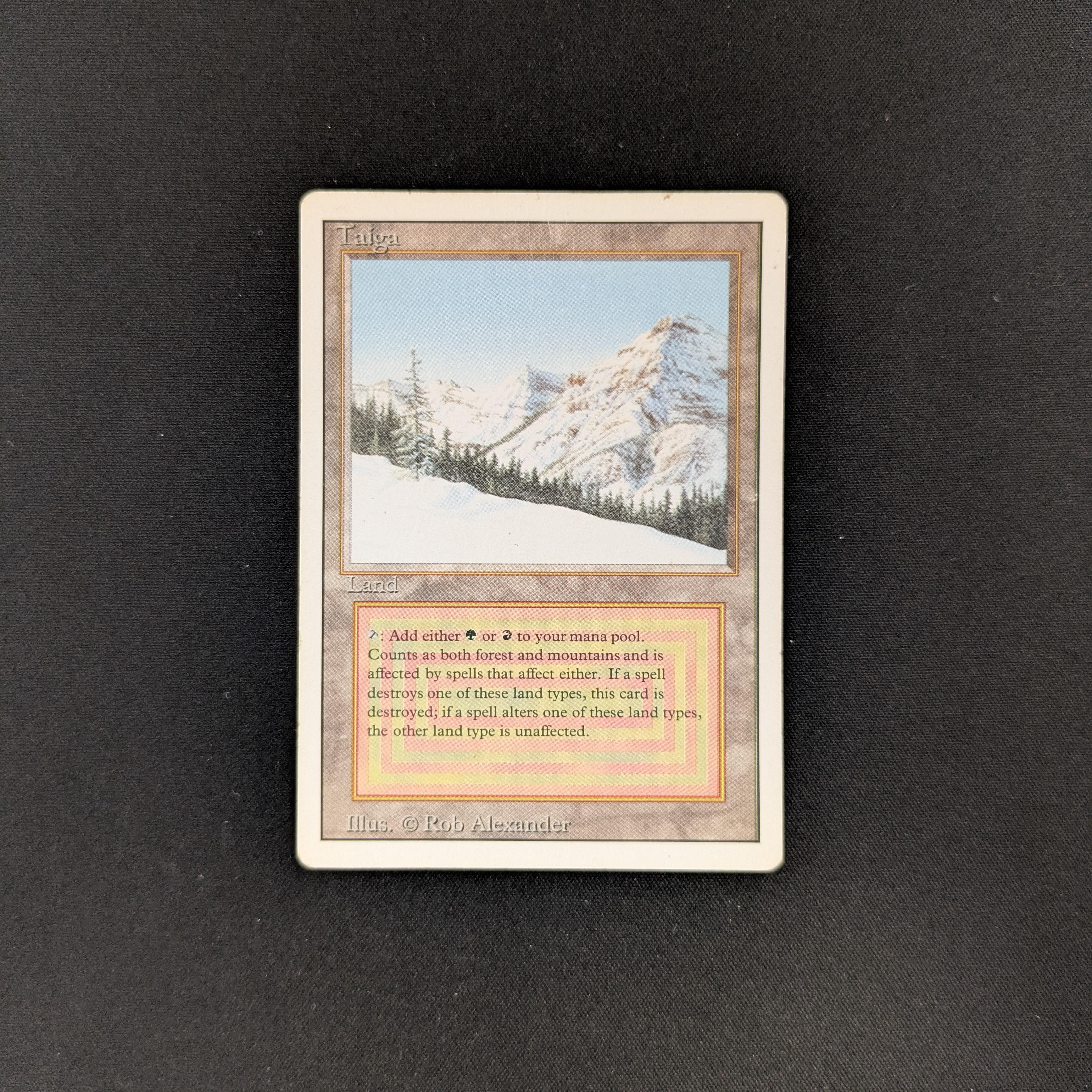 MTG Singles - Taiga - Revised - 