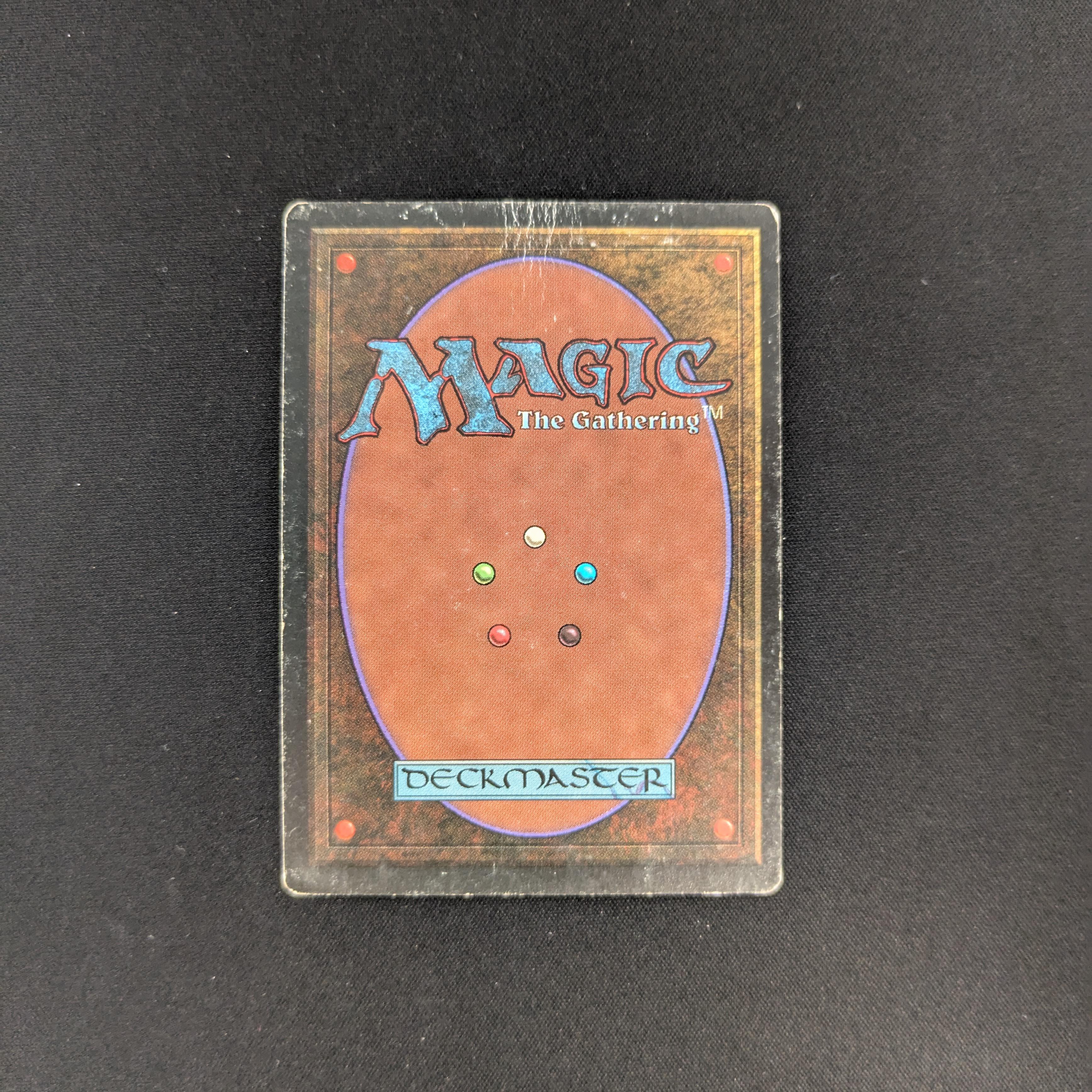 MTG Singles - Taiga - Revised - 