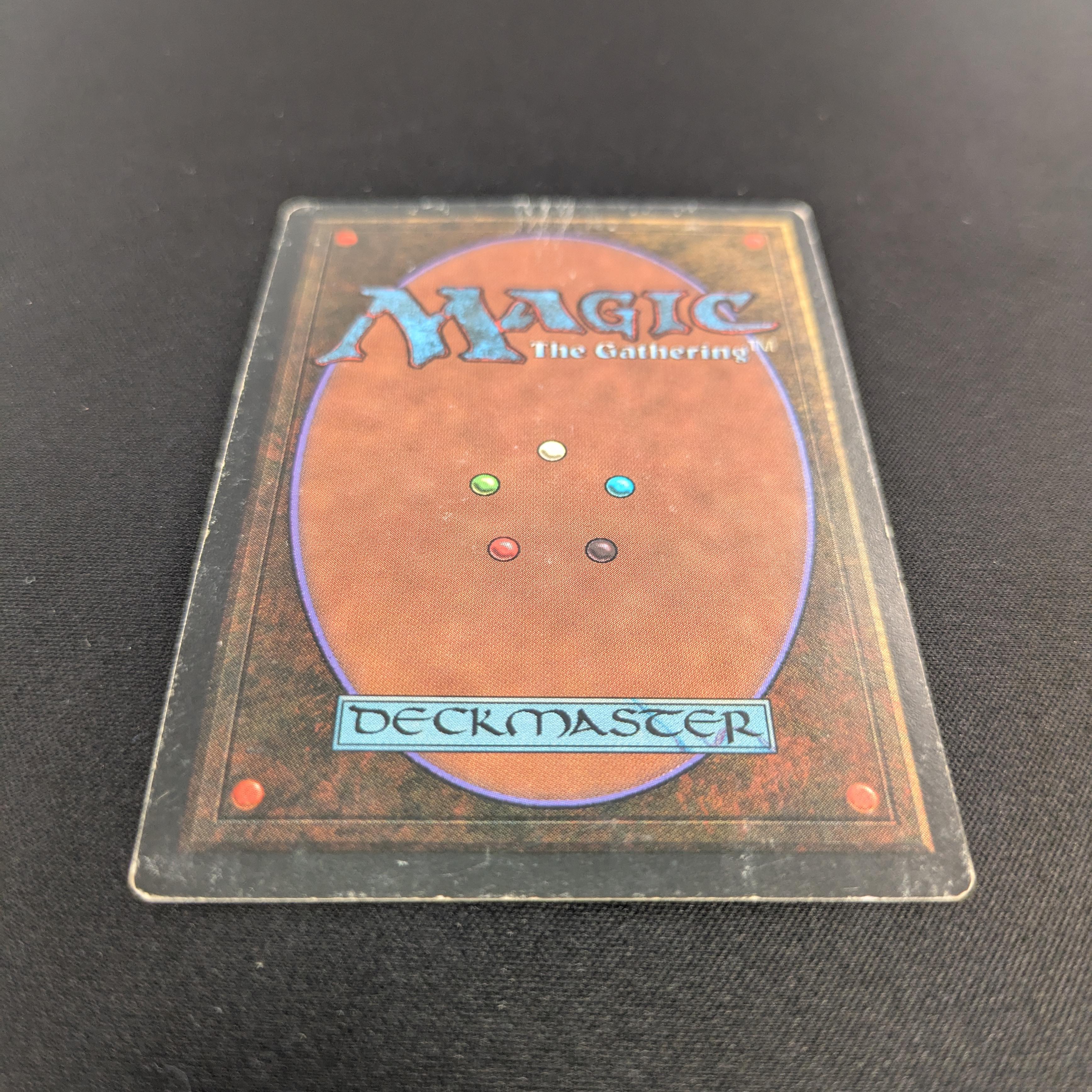 MTG Singles - Taiga - Revised - 