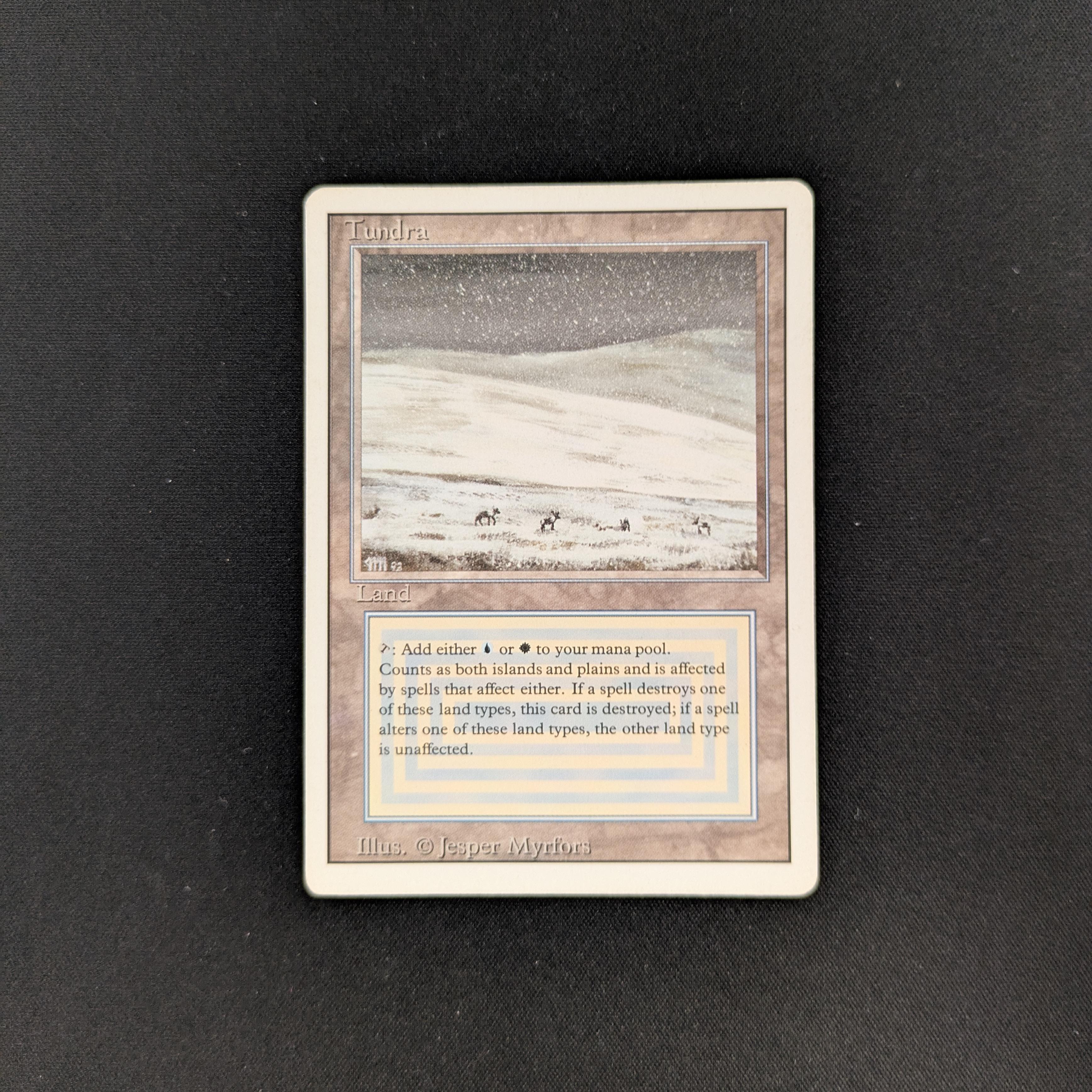 MTG Singles - Tundra - Revised - LP - 25765